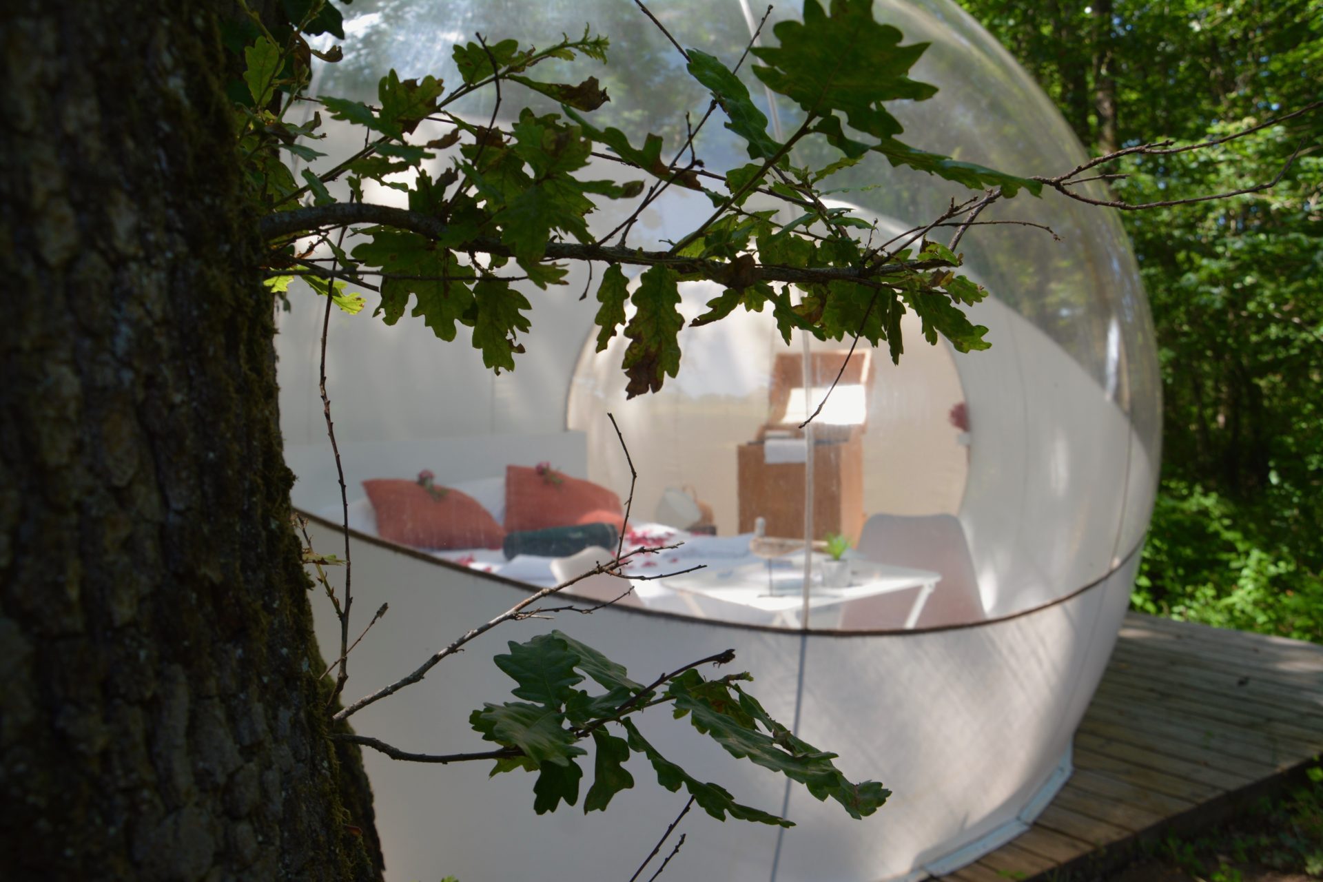 Bulle Spa Arômes : une évasion sensorielle en pleine nature à Pompignac — vue intérieure