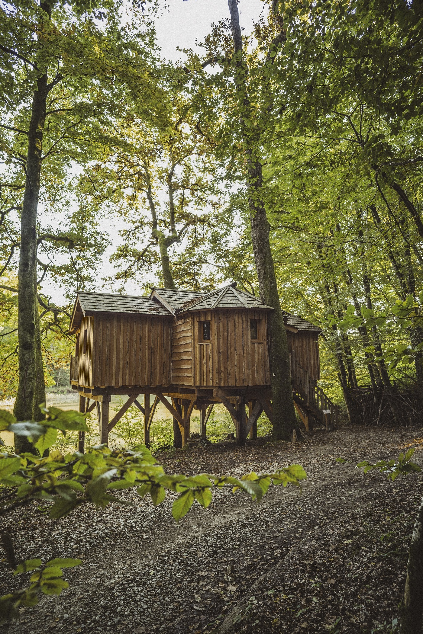 Cabane Spa Découverte : une évasion sur pilotis en Franche-Comté à Joncherey — vue intérieure