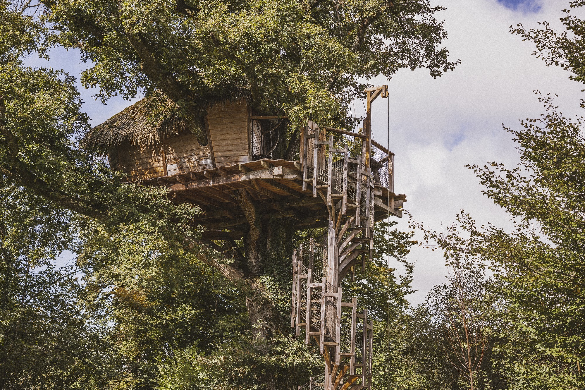 Cabane Amazone : une immersion dans les arbres de Franche-Comté à Chassey-Lès-Montbozon — vue intérieure