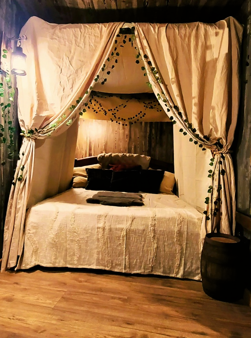 L'Auberge du Trône — Chambre à thème avec jacuzzi à Loire