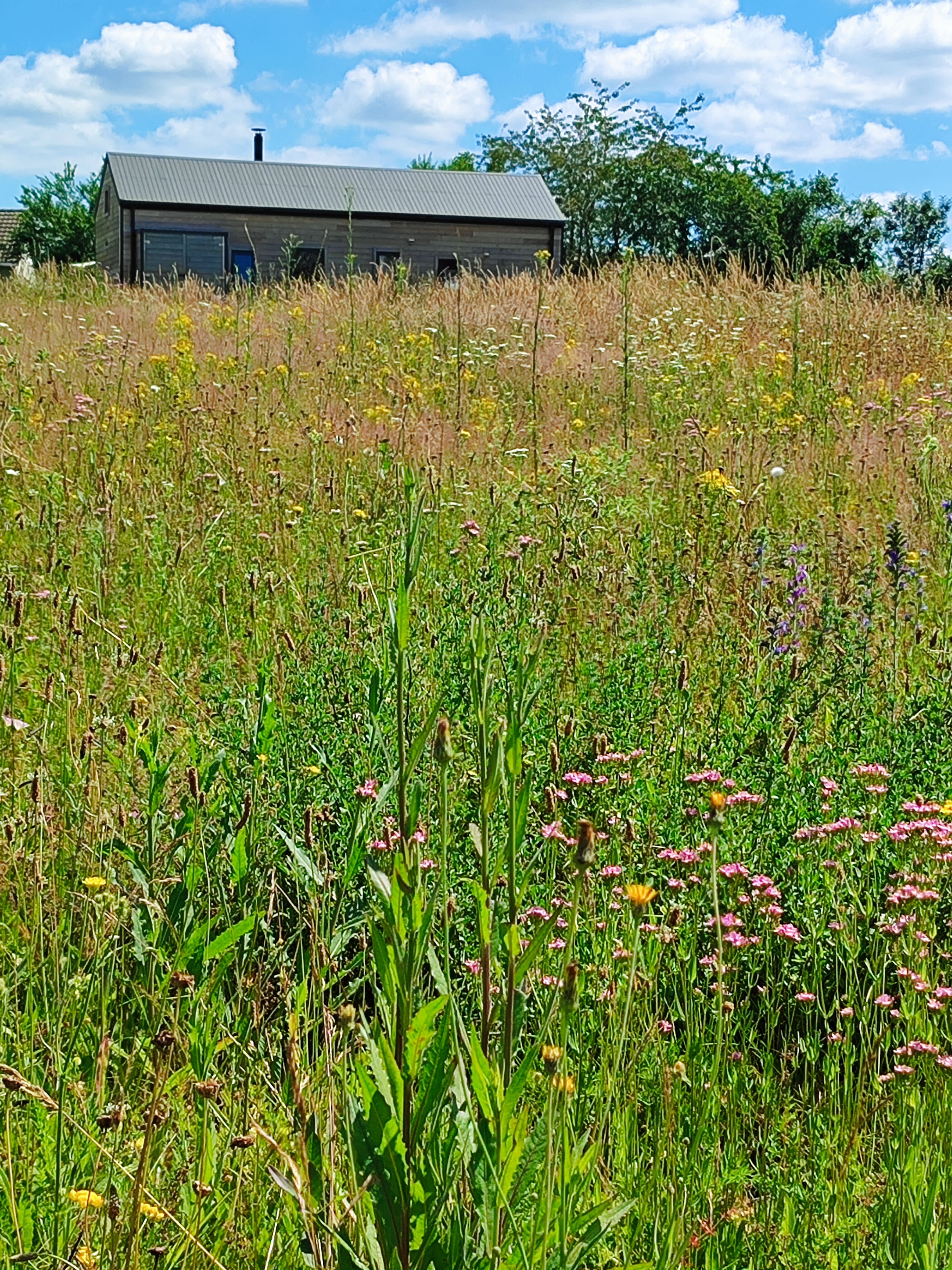 Cabane de l'Ecureuil — Écolodge avec bain nordique à Loir-et-Cher à La Ferté-Imbault — détail architectural