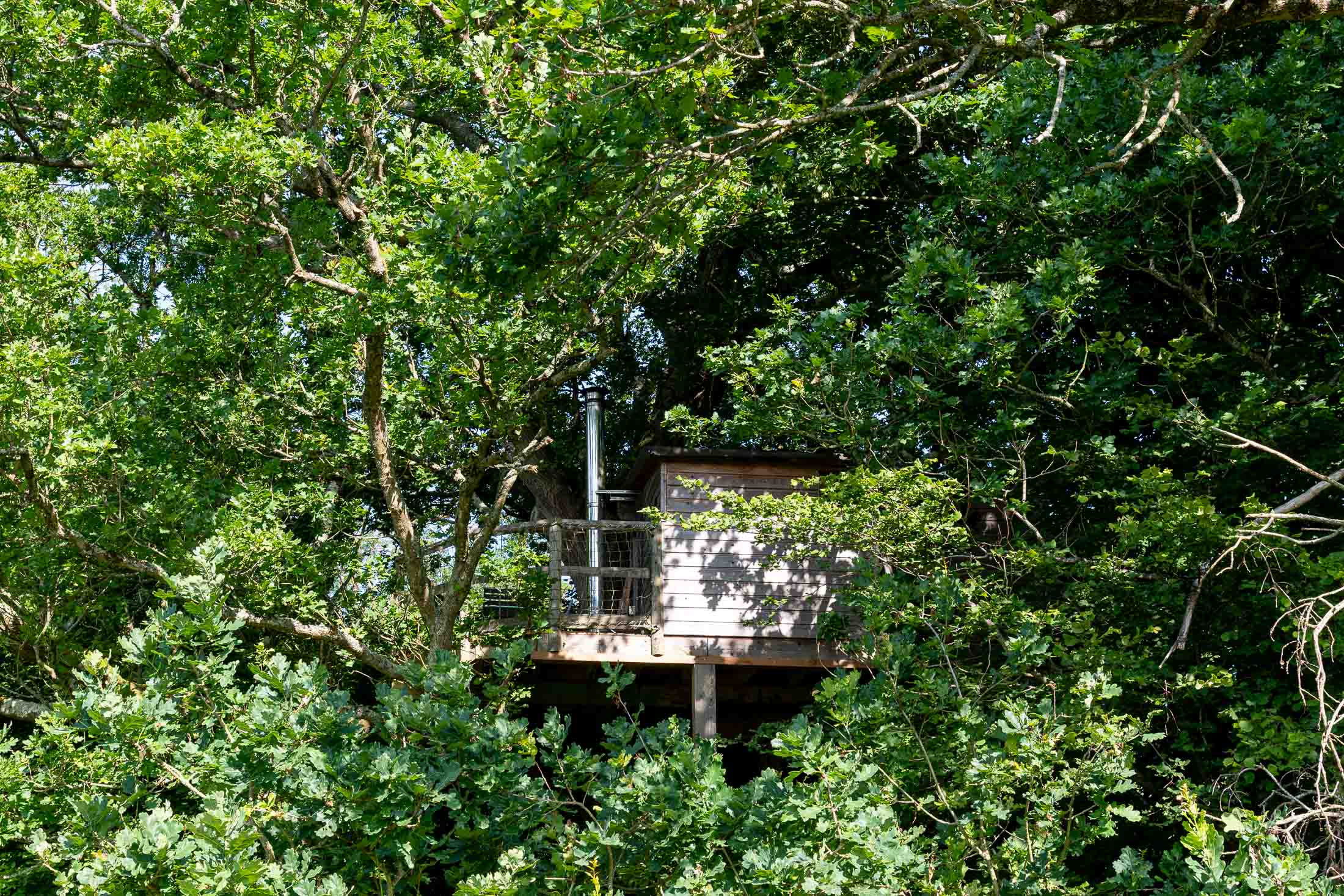 Cabane Rouge Gorge — Nuit perchée à 8m dans un chêne en Calvados à Valambray — vue intérieure