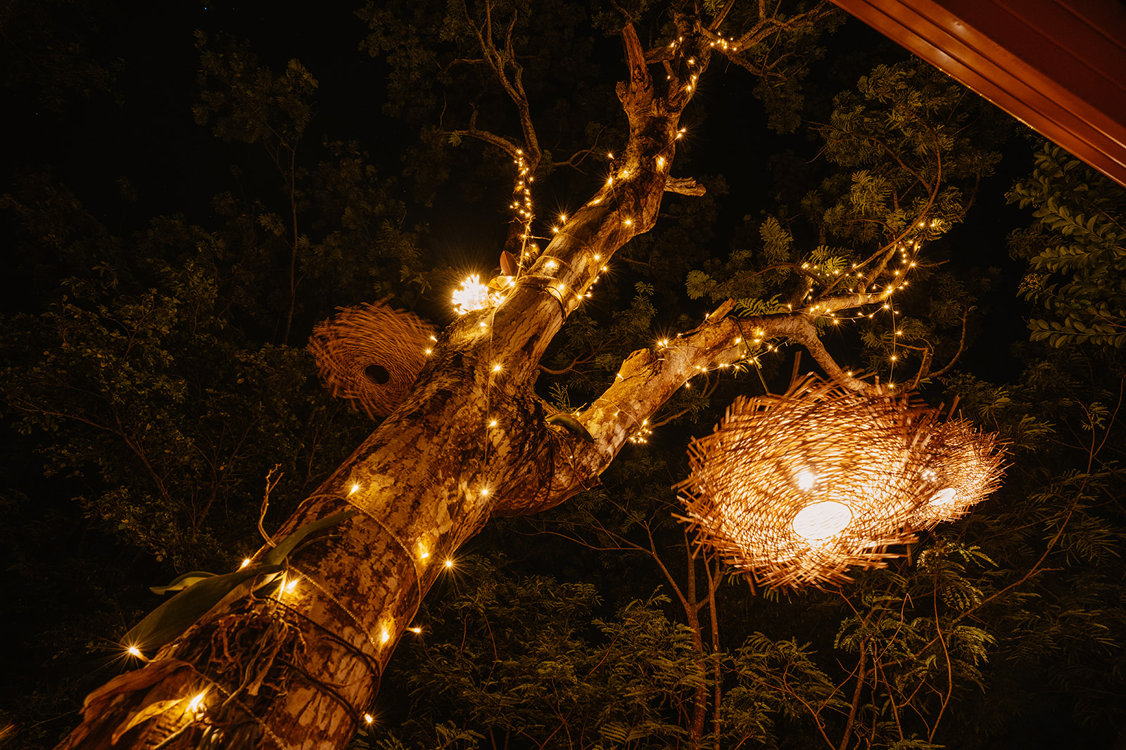 La Cabane aux étoiles : une immersion dans les cimes de la Guadeloupe à Deshaies — chambre