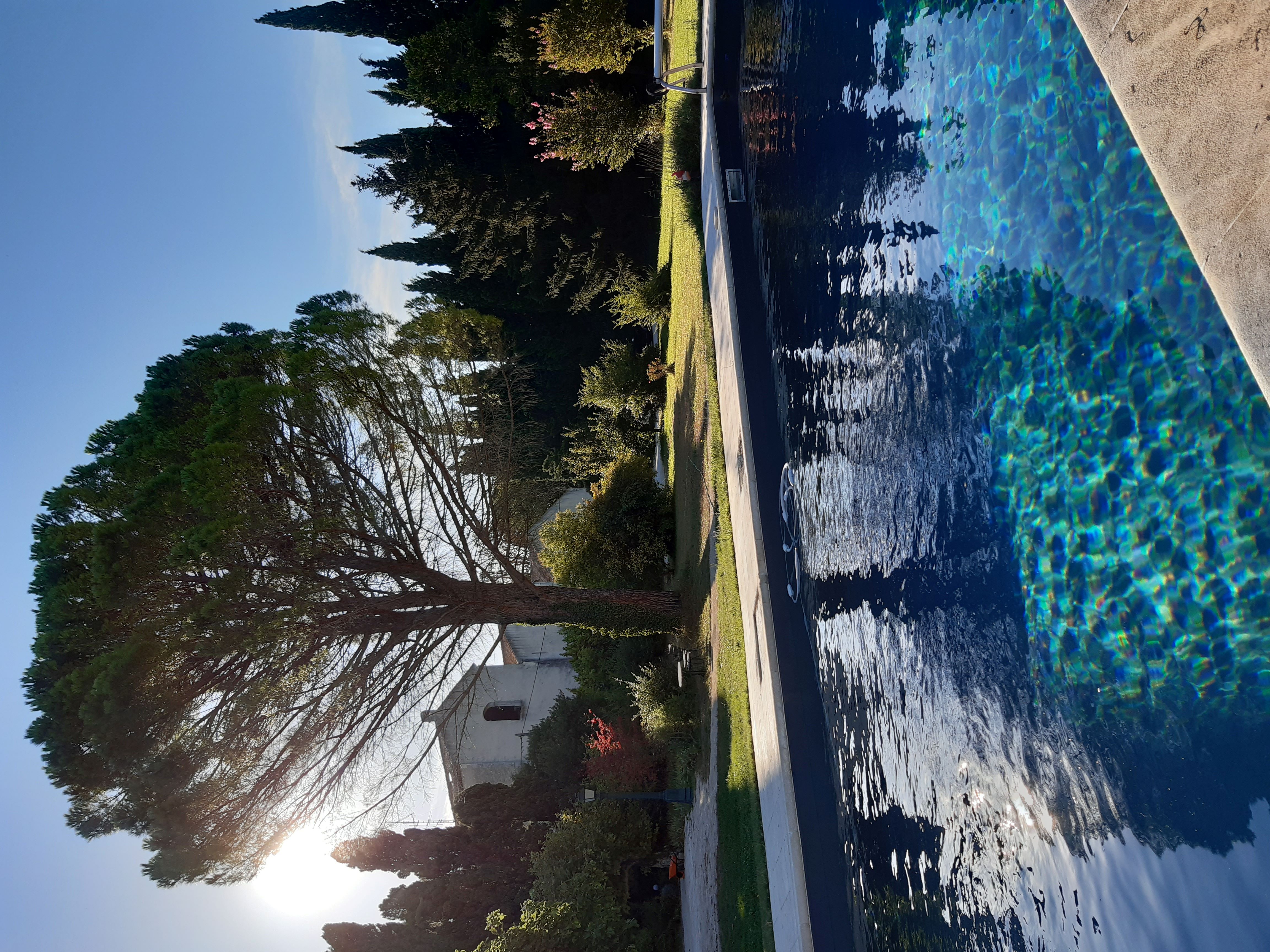 Évasion en roulotte : Marius et sa piscine en Provence à Saint Remy De Provence — espace de vie