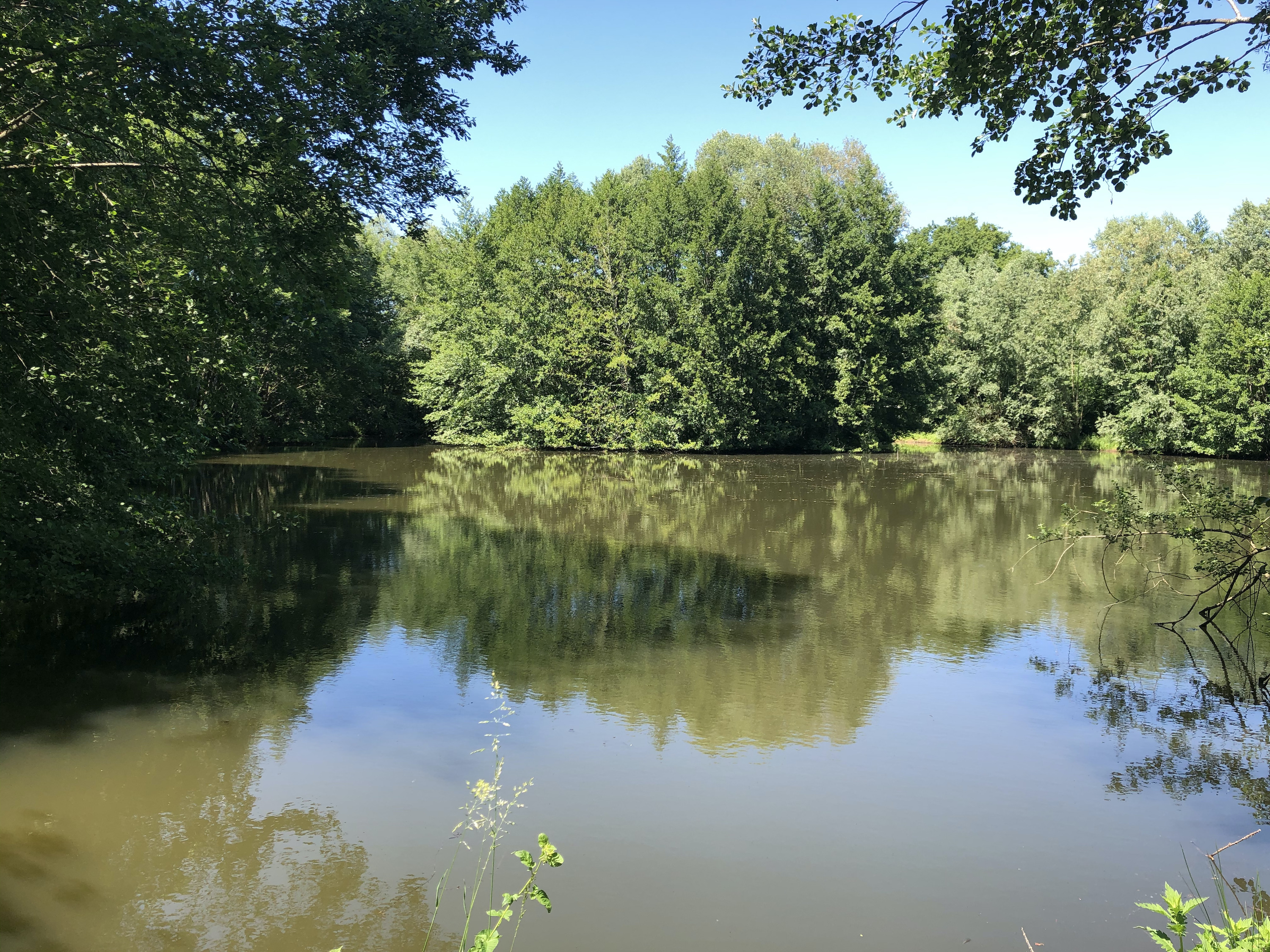 Tipi Söra — Séjour authentique avec spa à Côte-d'Or à Dijon — environnement naturel