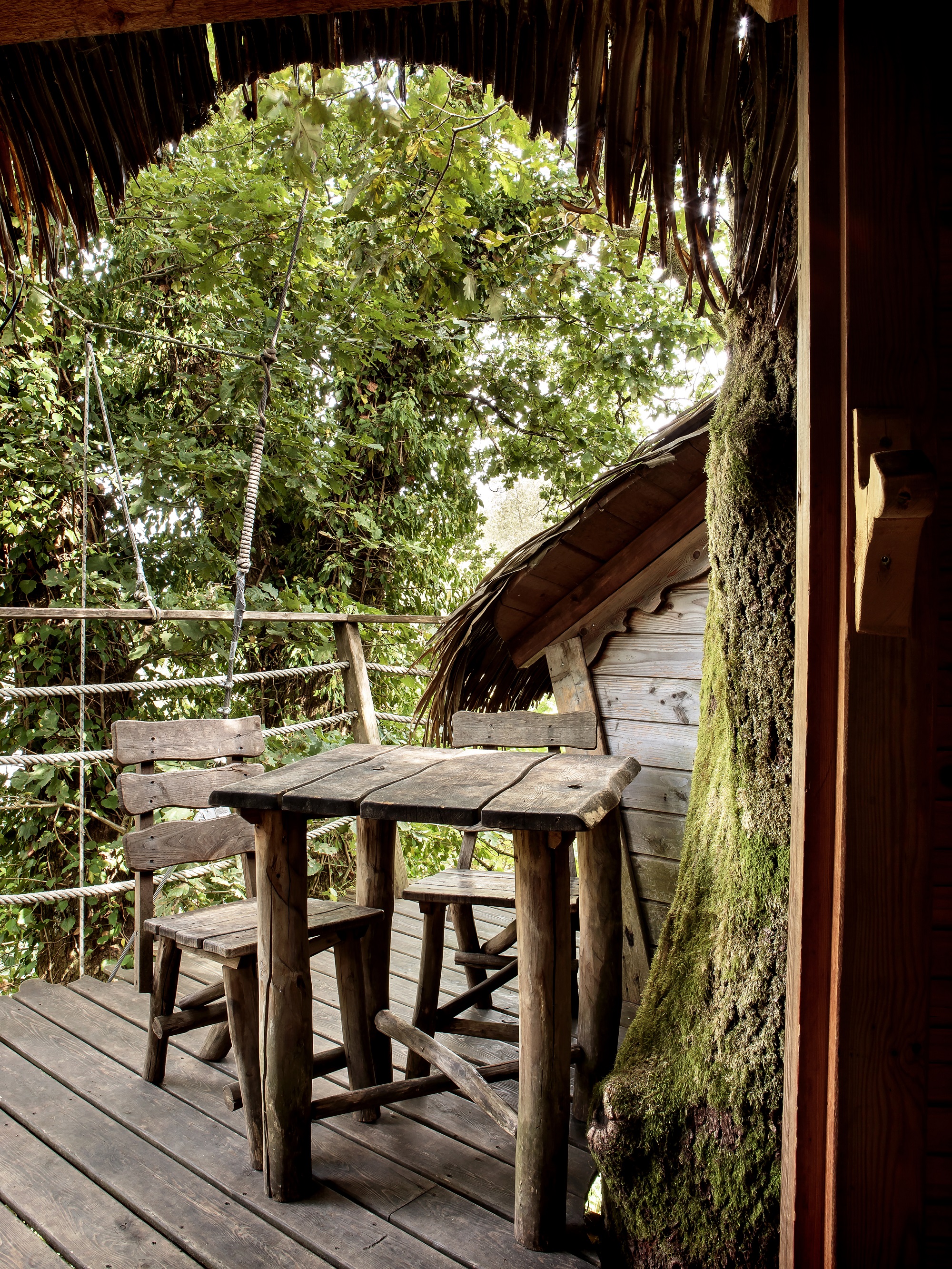 Cabane Extrême : une immersion dans les arbres en Franche-Comté à Chassey-Lès-Montbozon — espace de vie