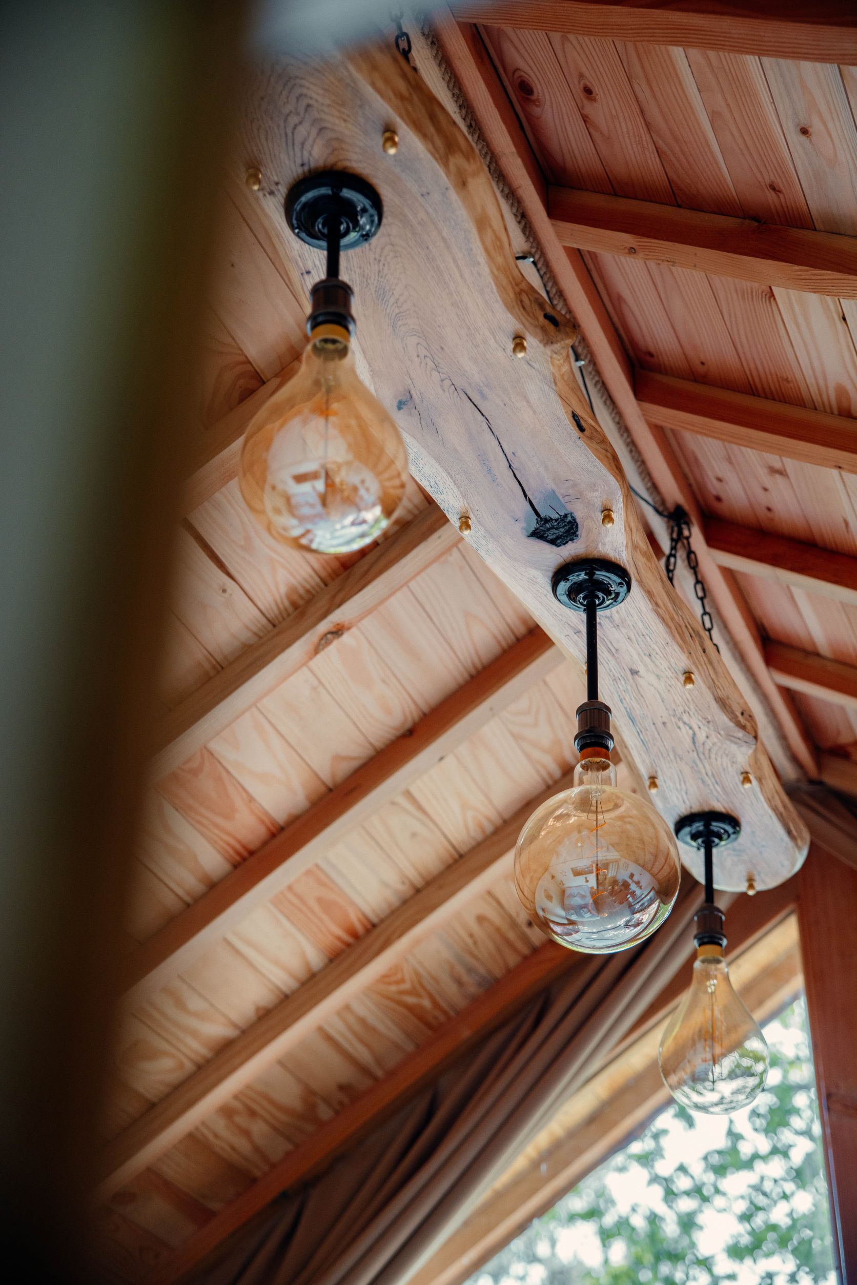 Cabane Spa Des Rêves : une immersion dans les arbres en Picardie à Rosoy-En-Multien — vue depuis la terrasse