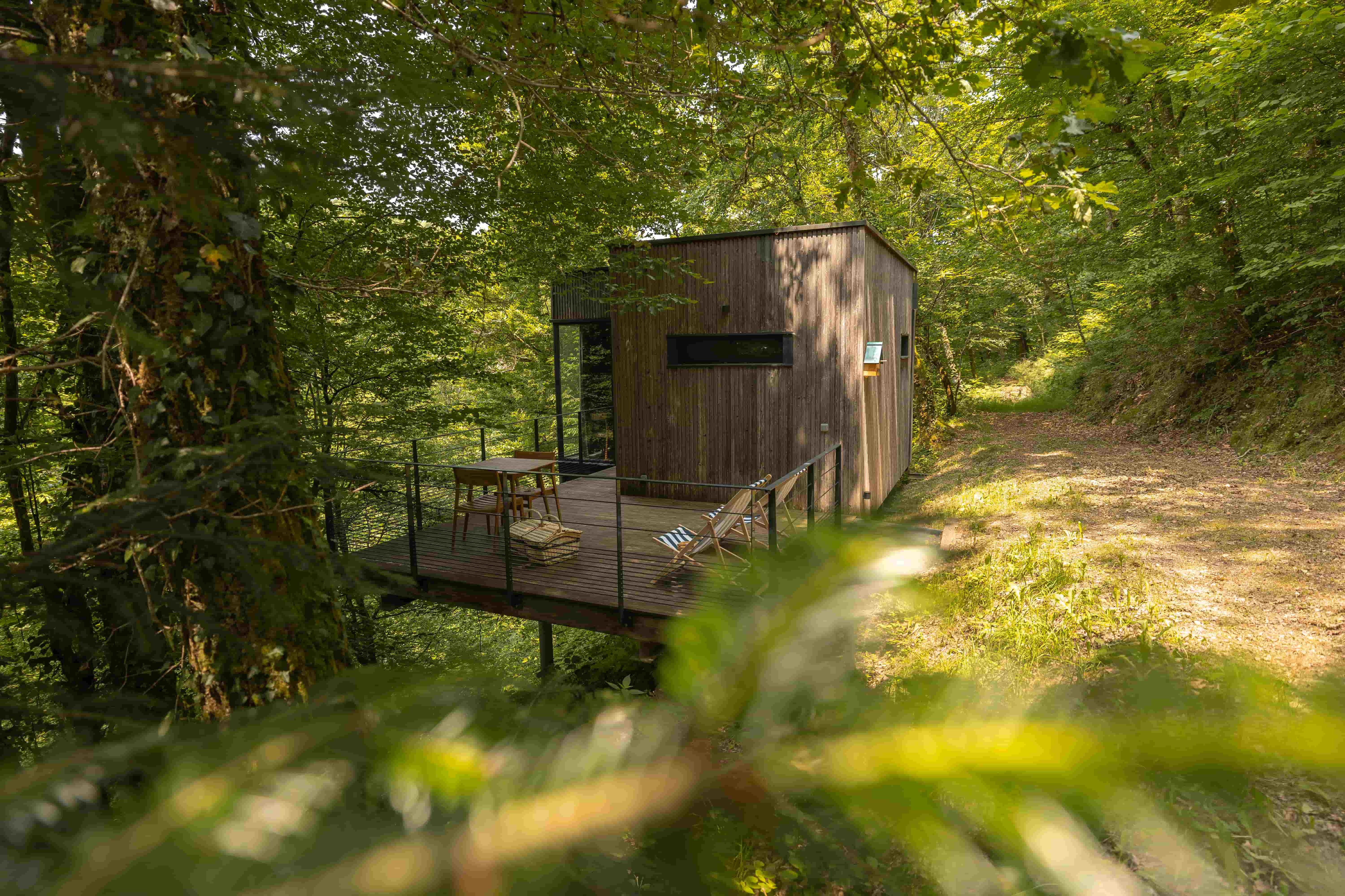Cabane Pin : une expérience suspendue dans les arbres à Meyrignac L’Eglise — vue depuis la terrasse