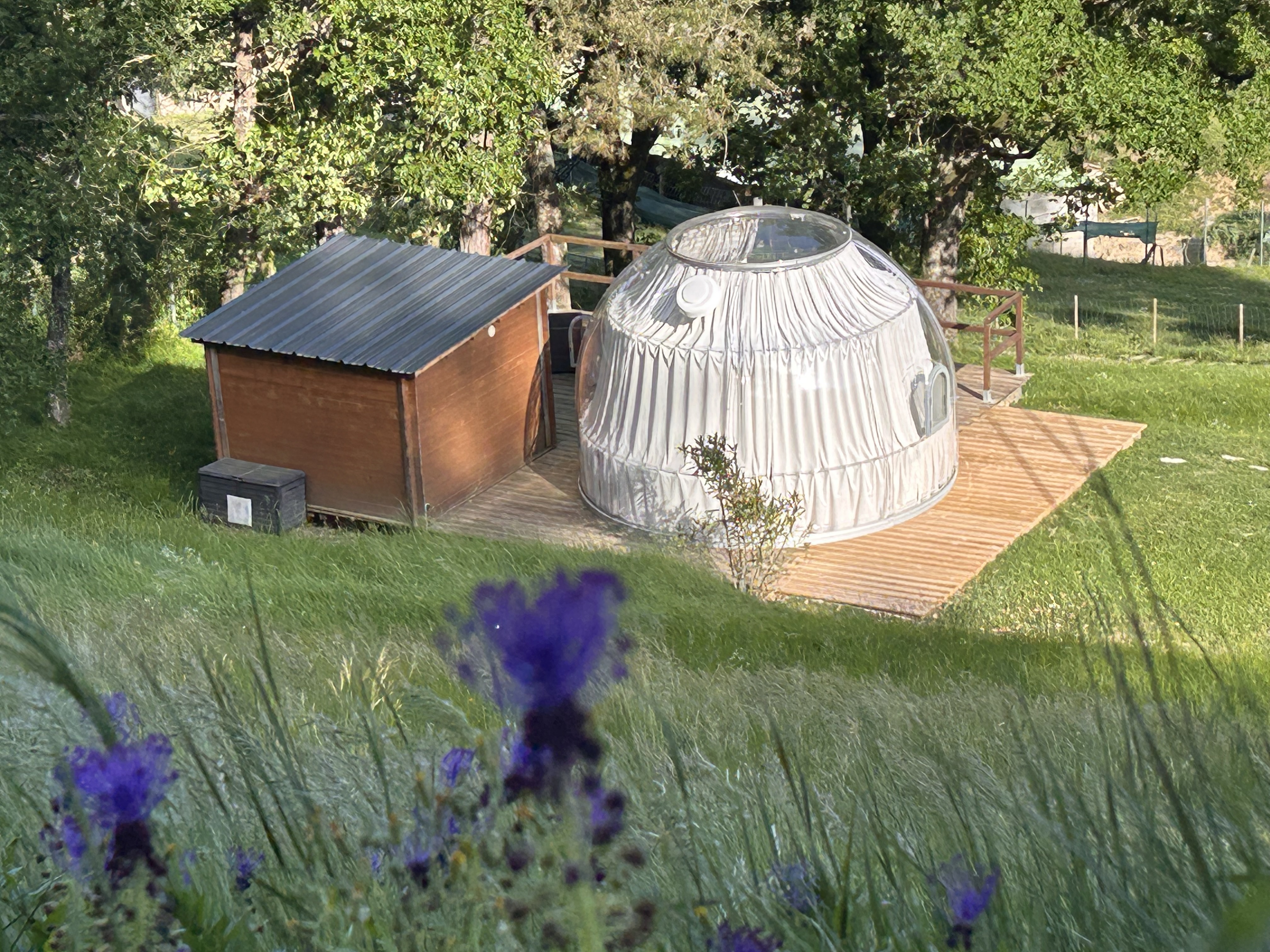 Bulle DODO LODGE : un dôme suspendu au cœur de la nature à Oytier St Oblas — espace de vie