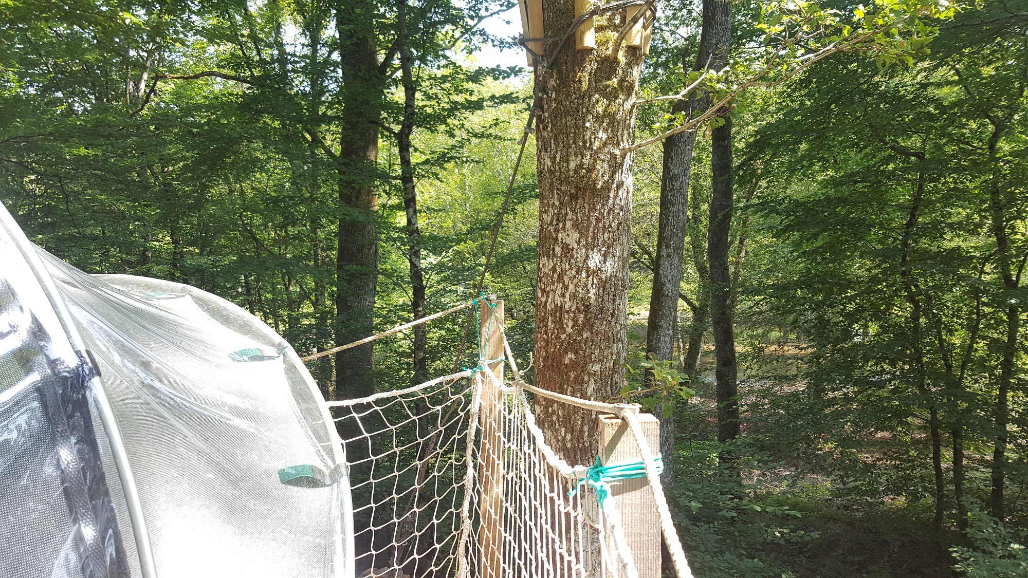 Vivez l'expérience unique d'une nuit dans une bulle suspendue en Franche-Comté à Mont Sous Vaudrey — chambre