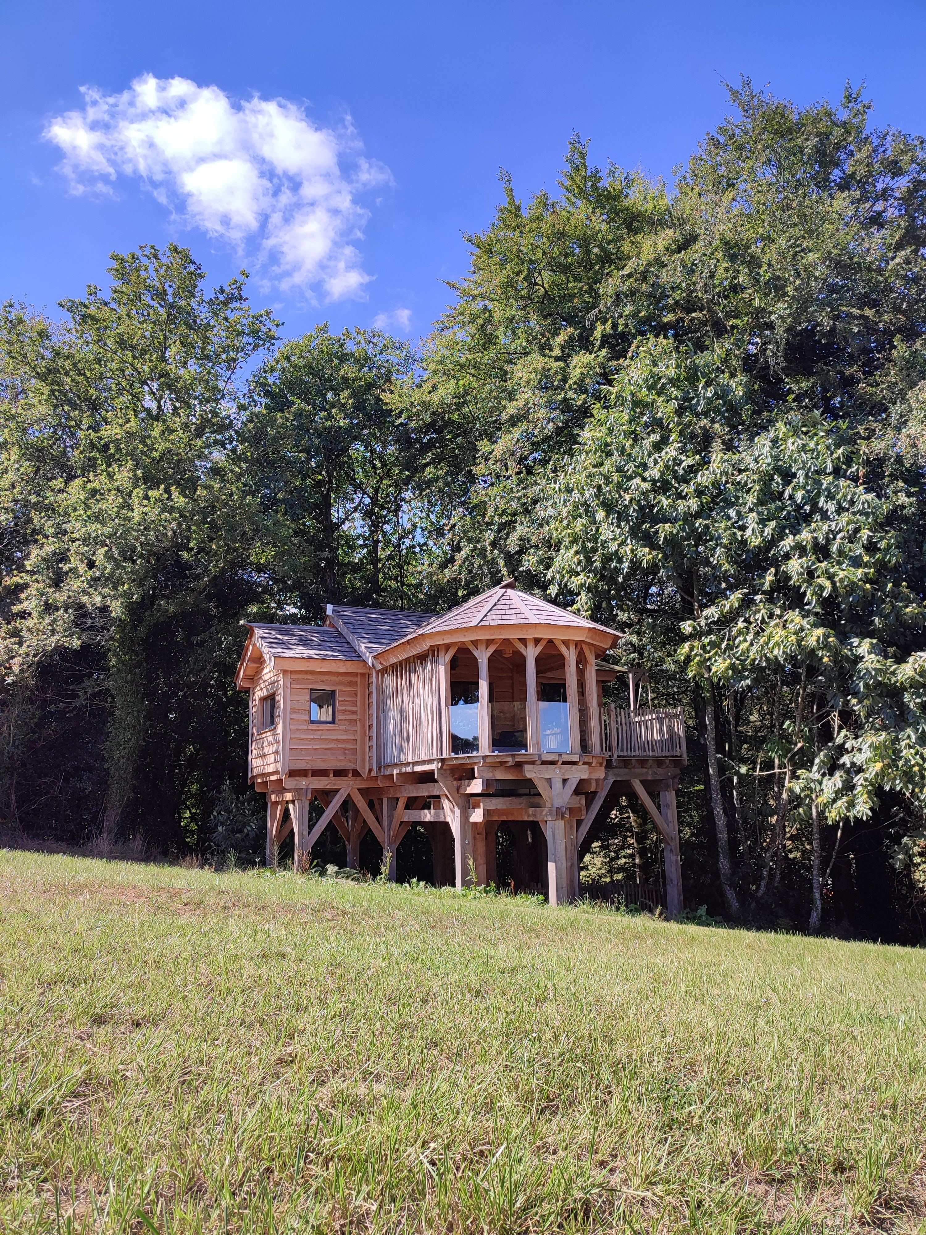 La Cabane Perchée : une expérience unique en Bretagne
