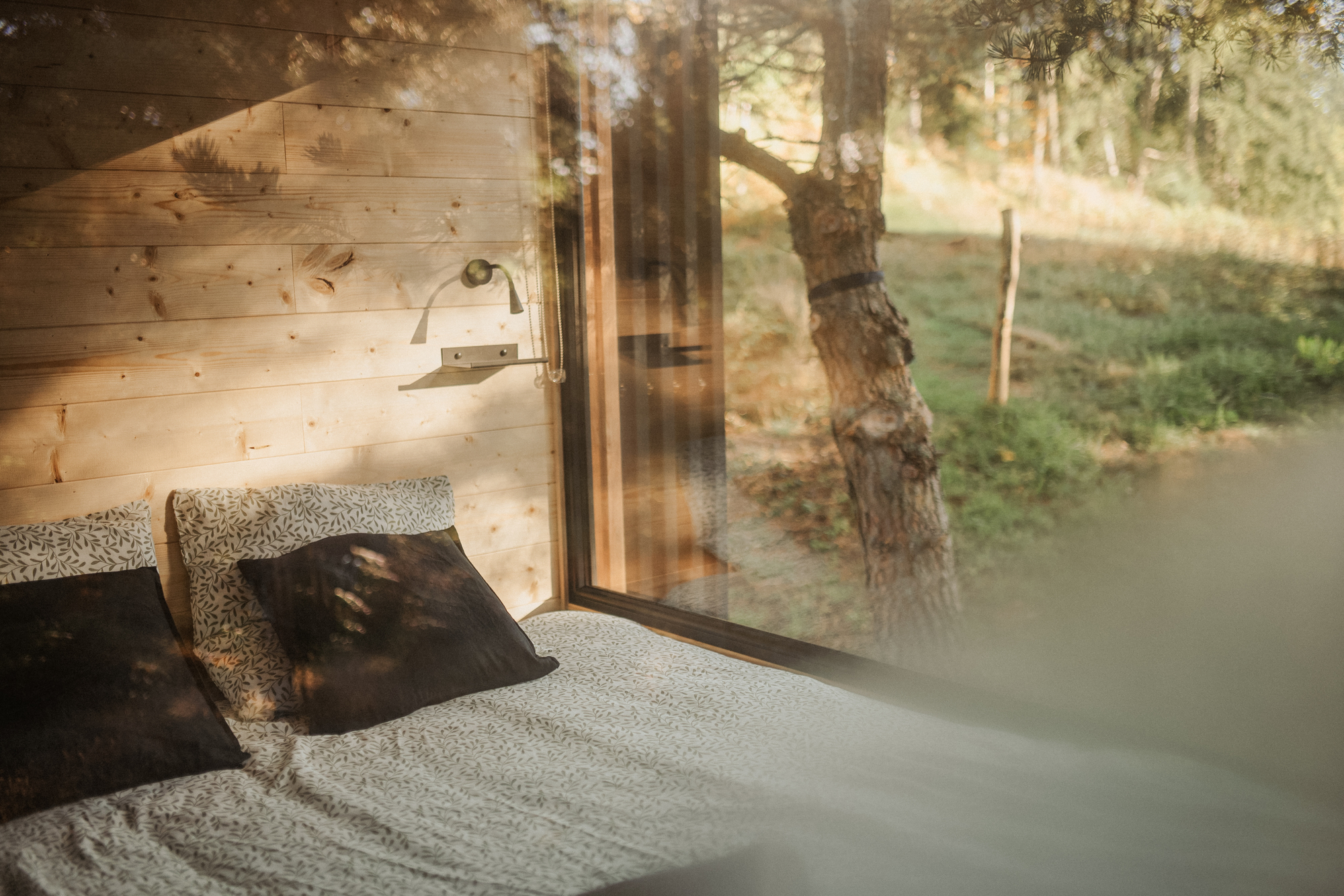 Homnest - L'Instant Sauvage — Tiny House avec vue cimes à Riotord à Riotord — environnement naturel