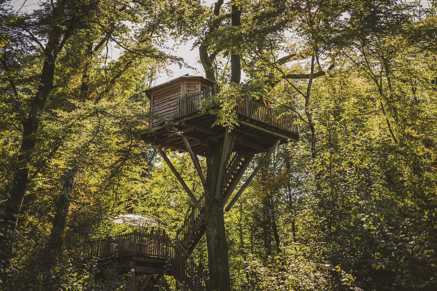 Cabane Spa Echo : une expérience suspendue dans les arbres — Cabane à Joncherey