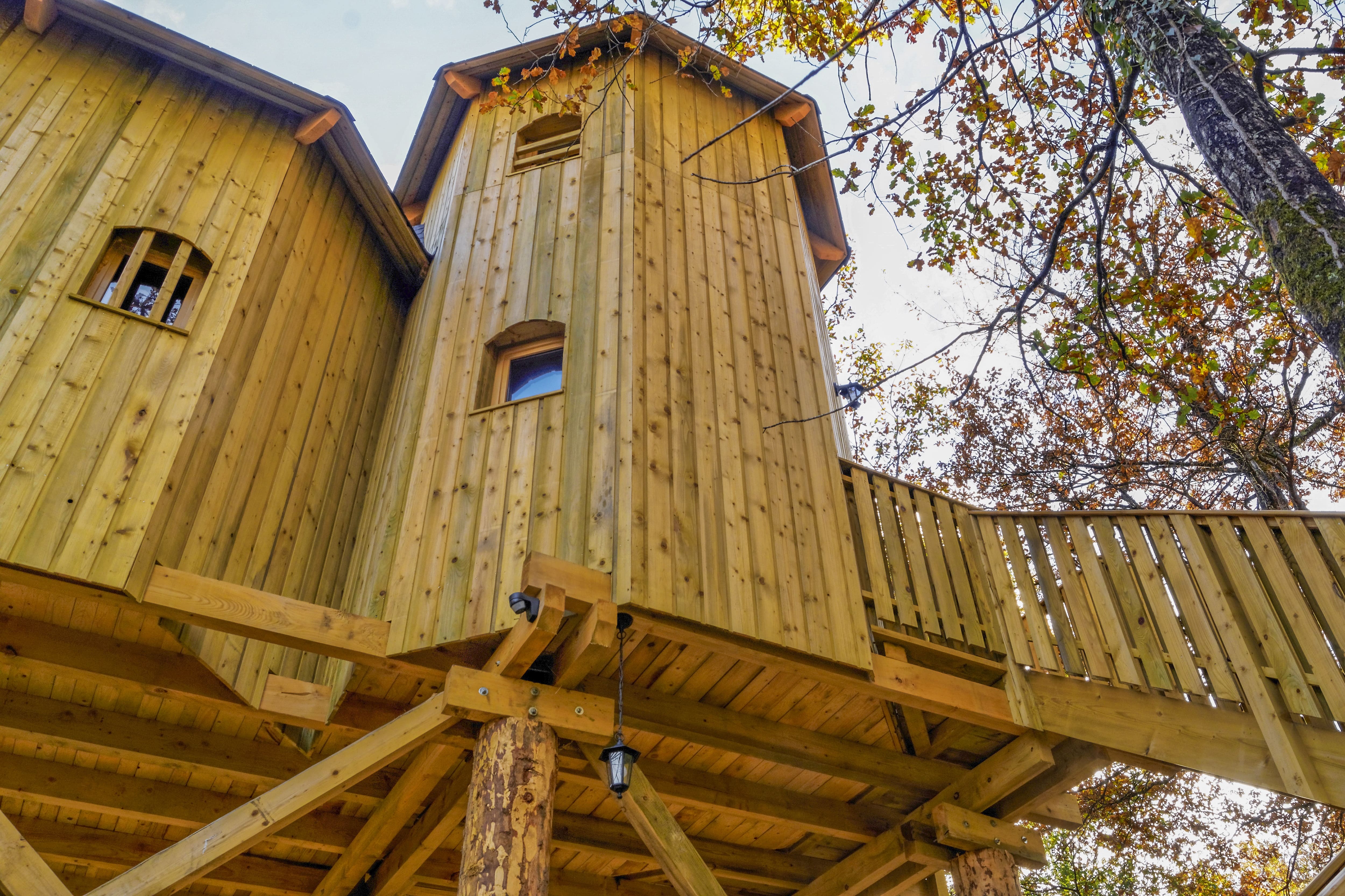 Manoir dans les Arbres — Château avec jacuzzi à 9m en Vienne