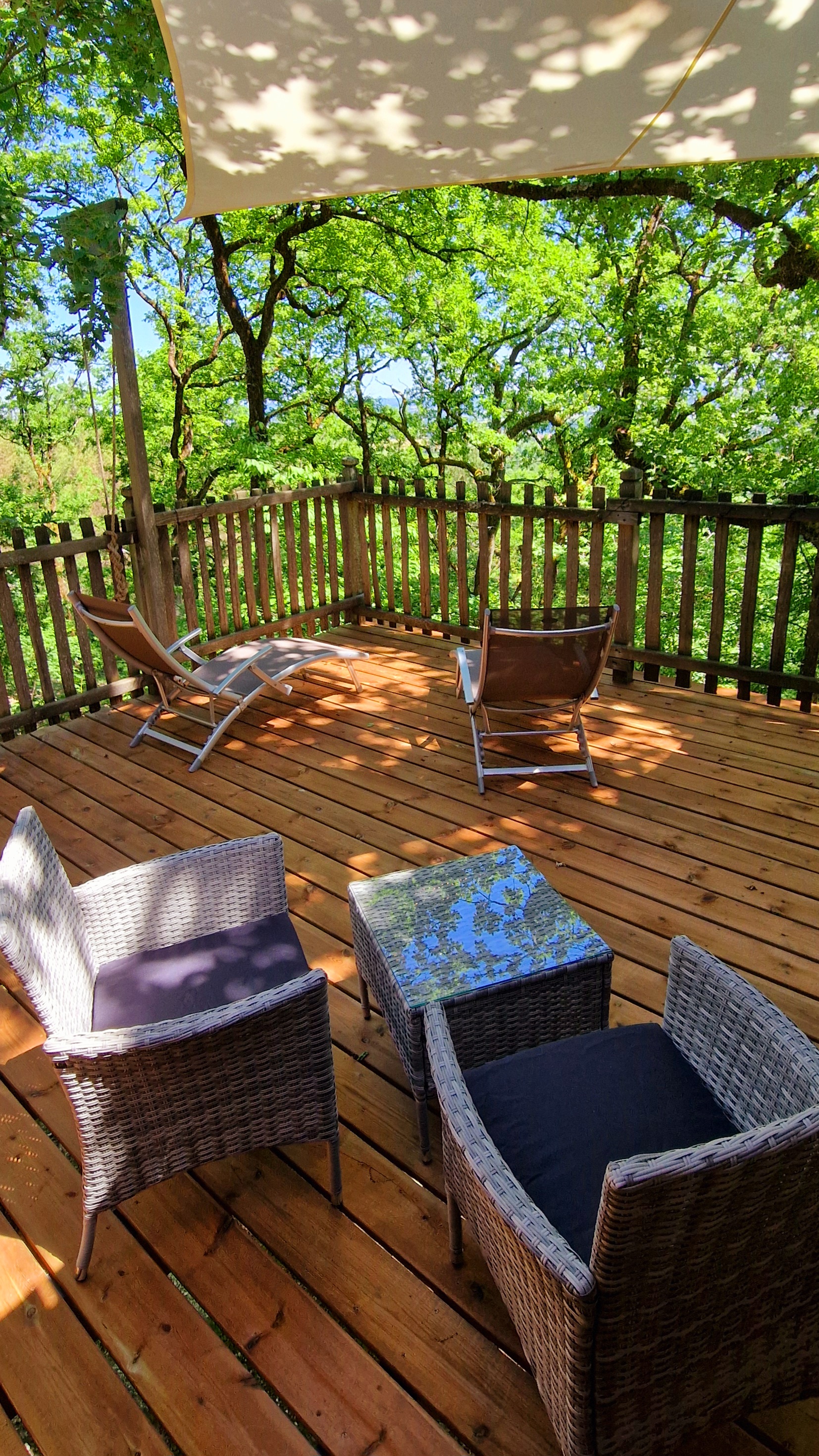 Cabane Spa Vénitienne : une évasion dans les arbres à Clairac — vue depuis la terrasse