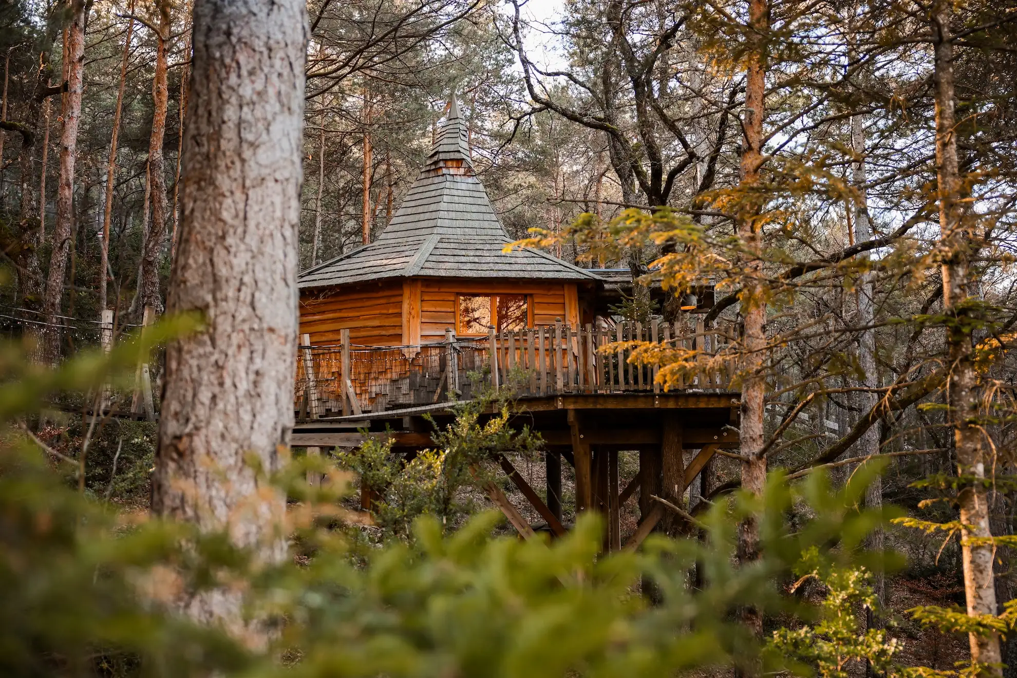 Aristoloche & Spa — Cabane dans les arbres à 7m dans les Hautes-Alpes à Gap — vue depuis la terrasse