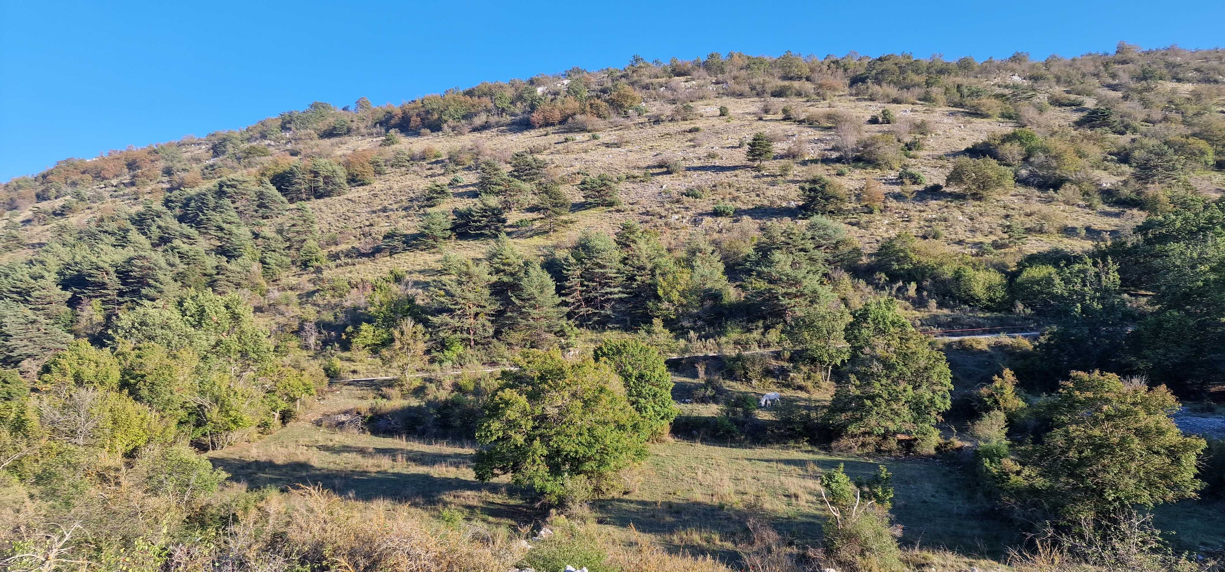 Tente Voie Lactée : une nuit sous les étoiles en Provence à Bézaudun-Les-Alpes — cuisine