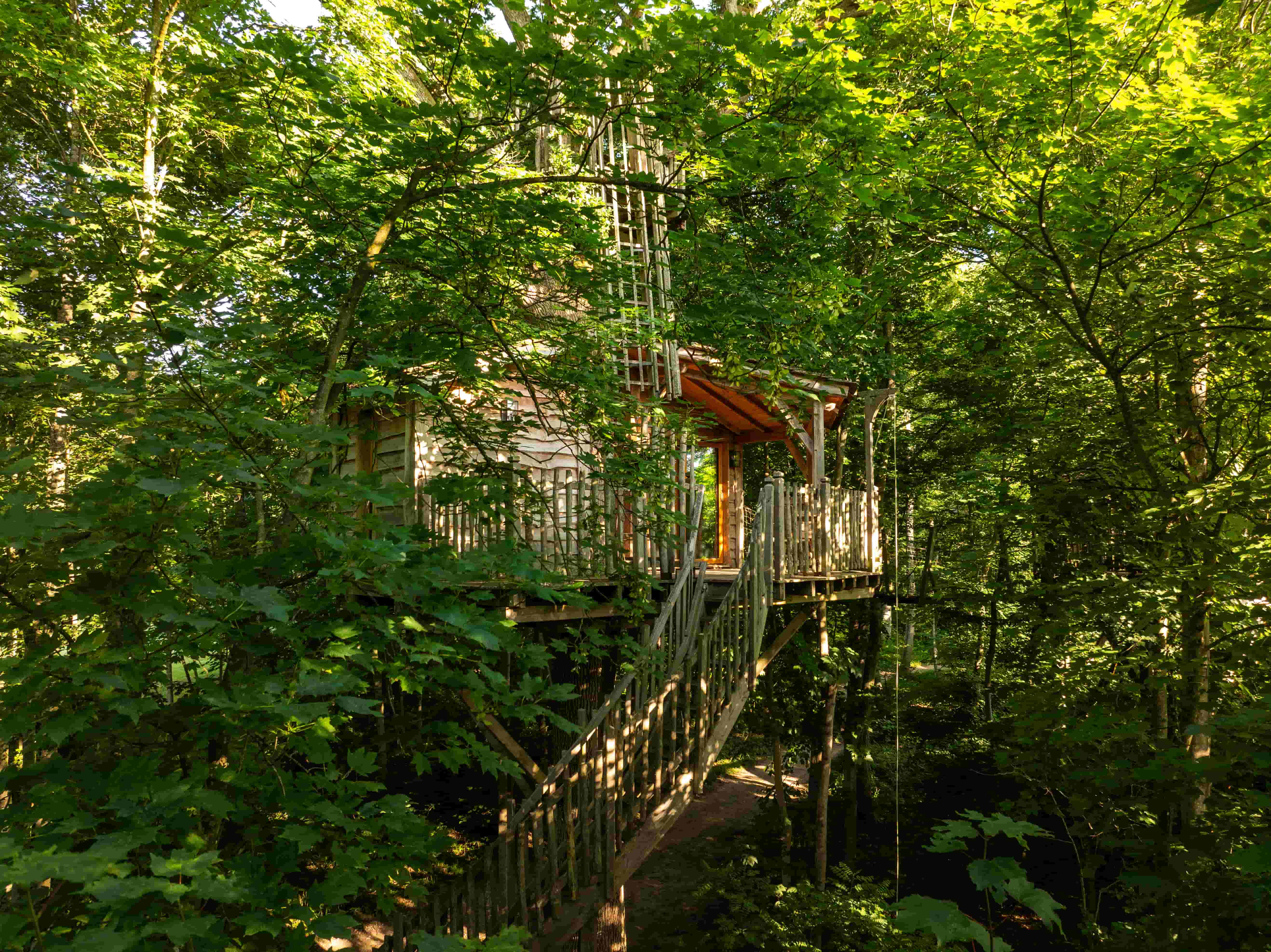 Cabane Spa Osmose : une escapade enchantée dans les arbres