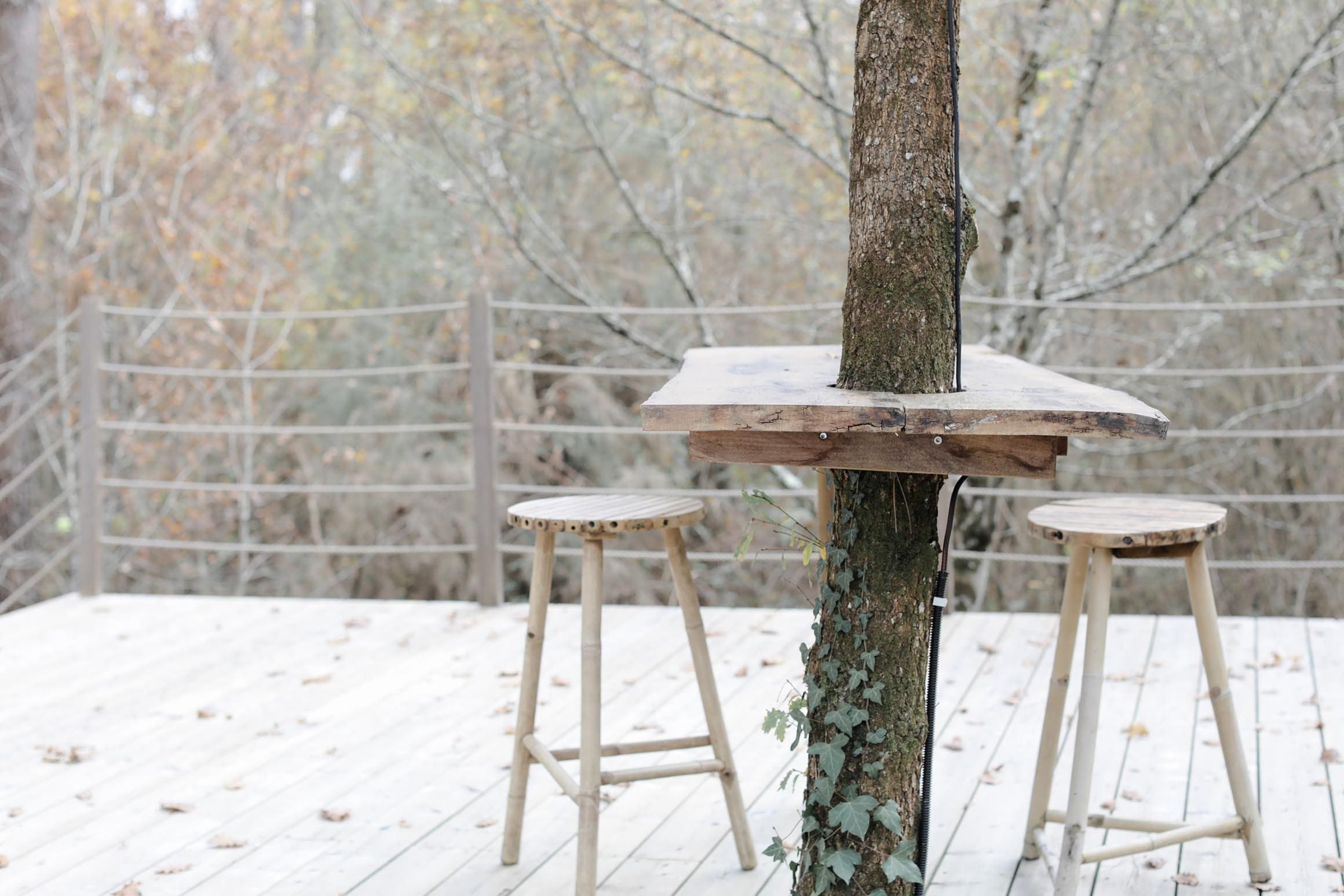 Bulle Cabernet & Spa