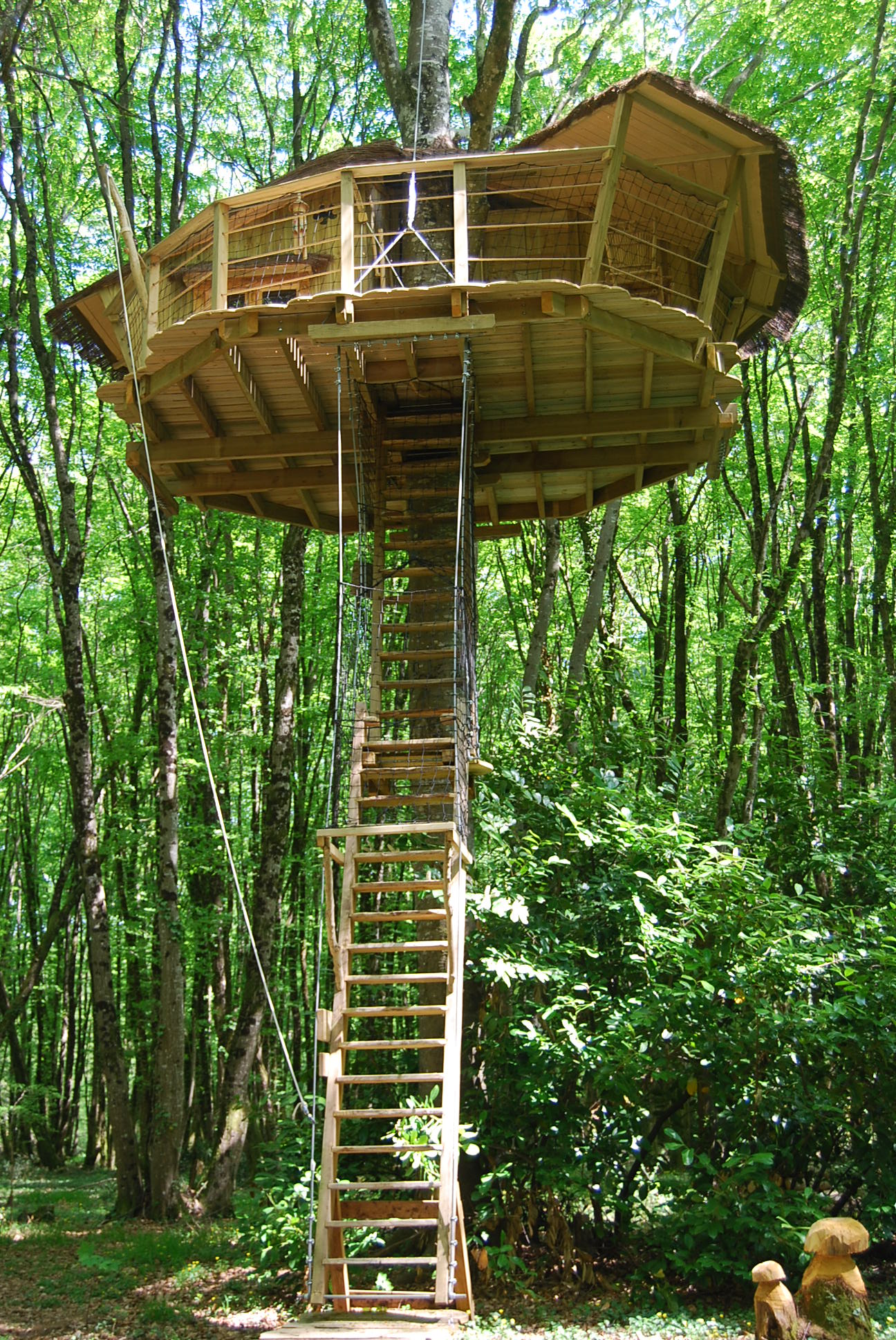Cabane de la Hulotte : une expérience suspendue dans les arbres à Magné — vue depuis la terrasse