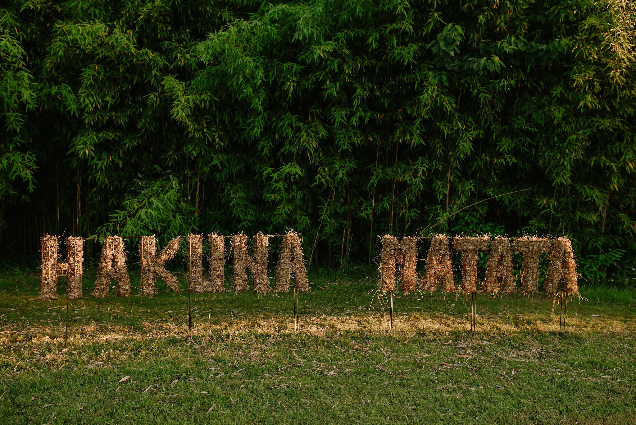 Photo 5/9 — Villa « Villa Hakuna Matata : une évasion en Aquitaine » à Pécorade Landes