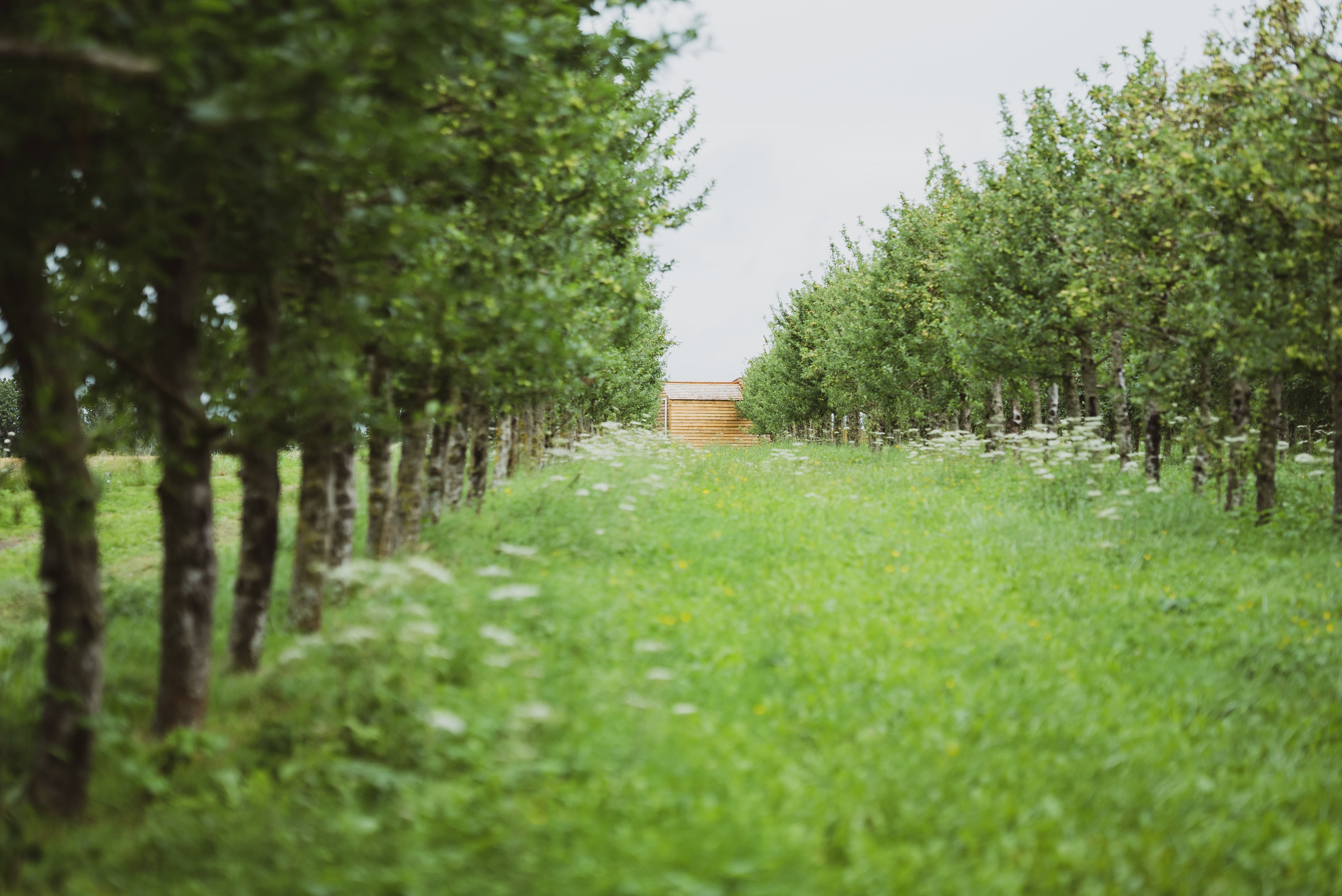 Sacrée Cabane — Séjour bien-être avec spa à La Sarthe à Solesmes — environnement naturel
