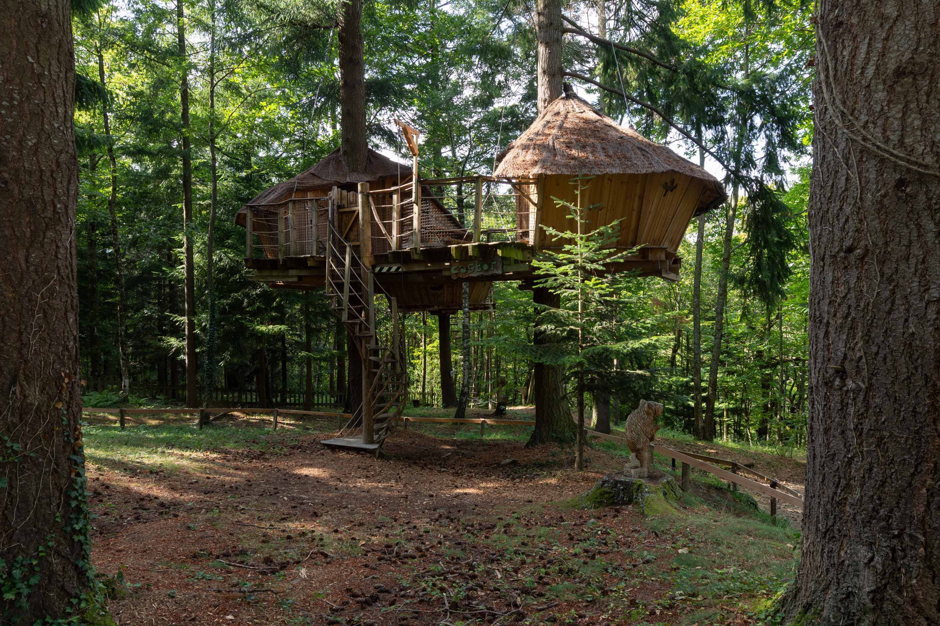 Cabane Castor : une expérience unique dans les arbres à Saint-Julien-Labrousse — vue intérieure