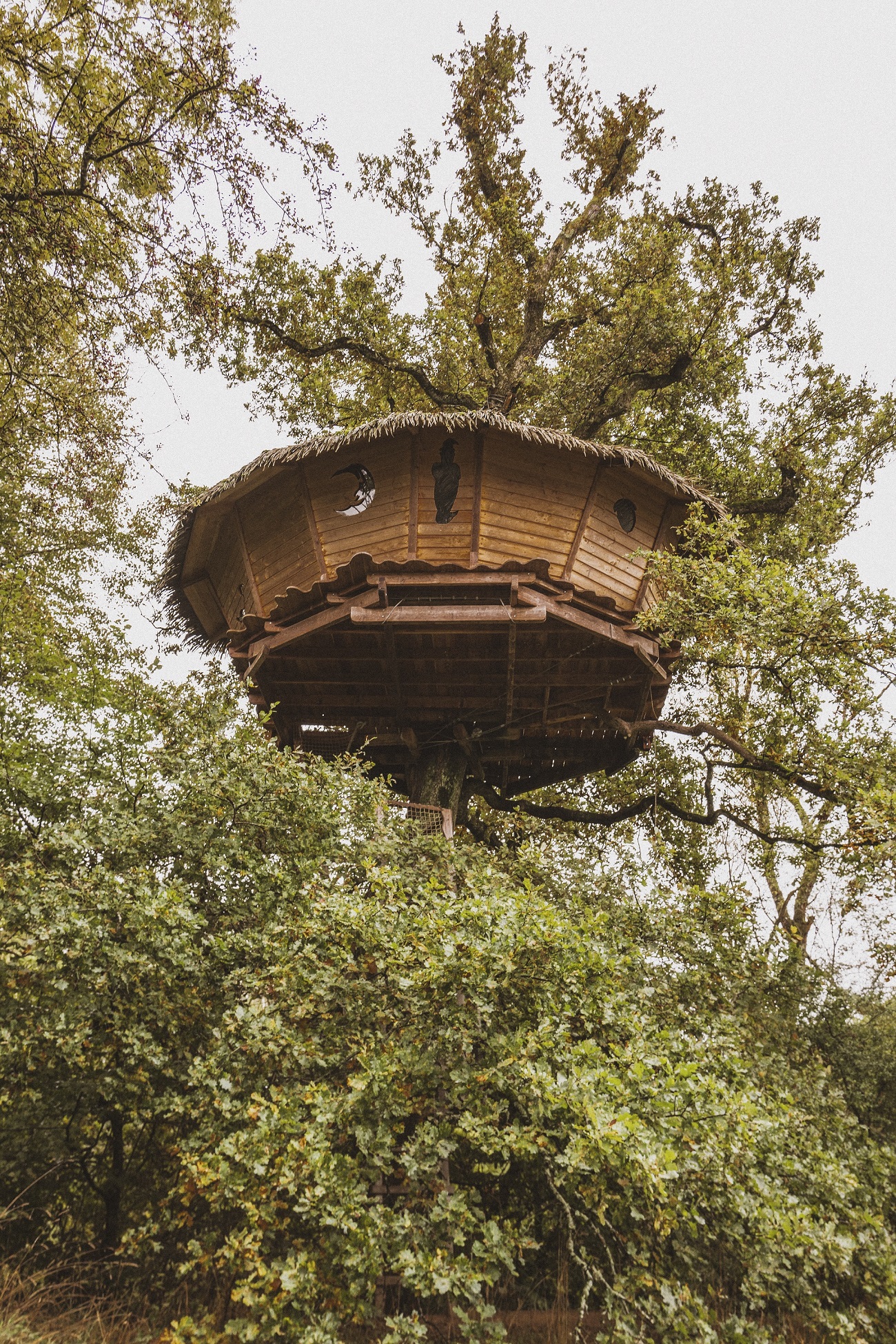 Cabane Reflet : une évasion perchée dans les arbres