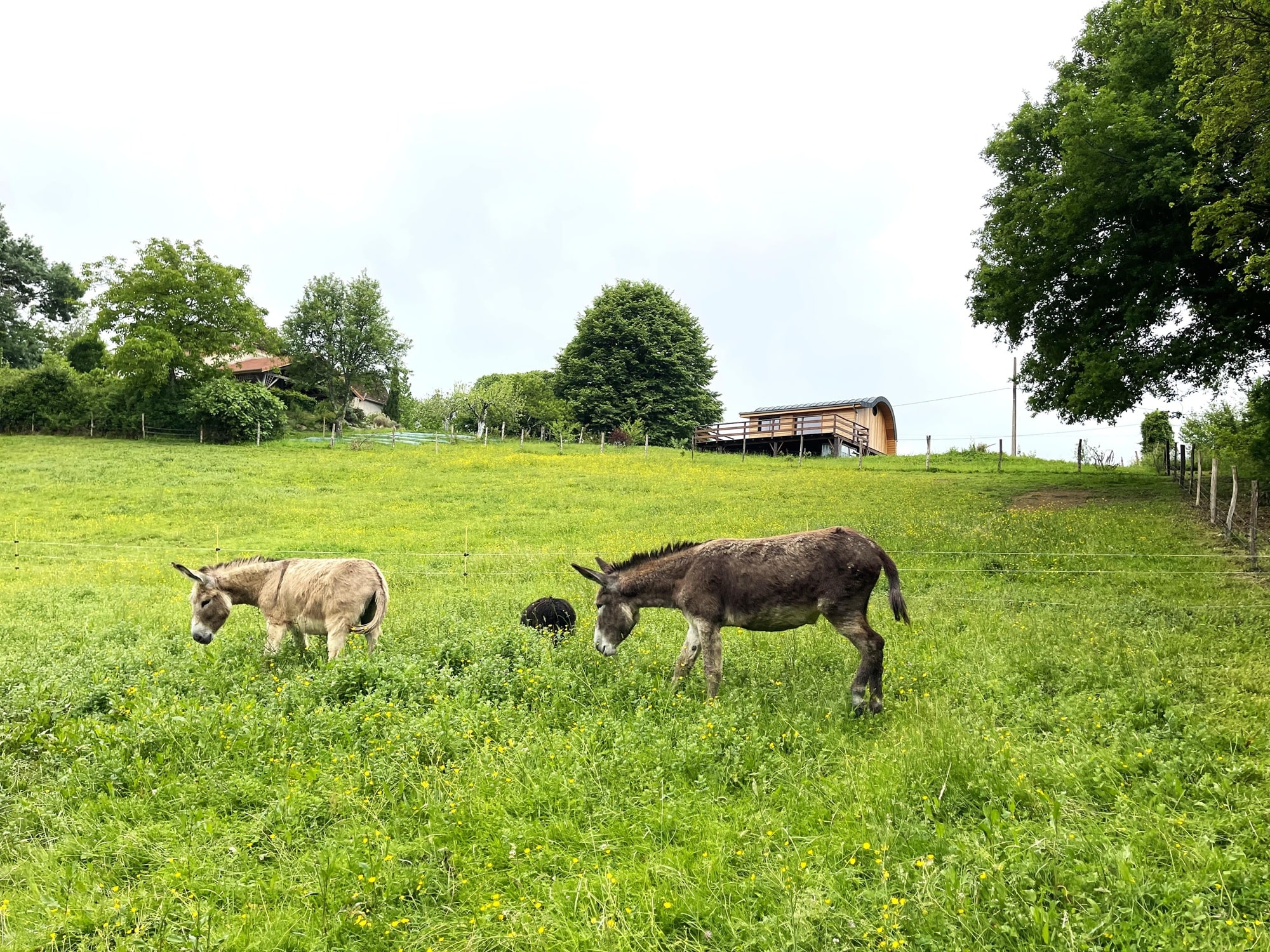 Cabane La Pocquita — Cabane avec piscine à Oloron-Sainte-Marie (Pyrénées-Atlantiques) à Oloron-Sainte-Marie — détail architectural