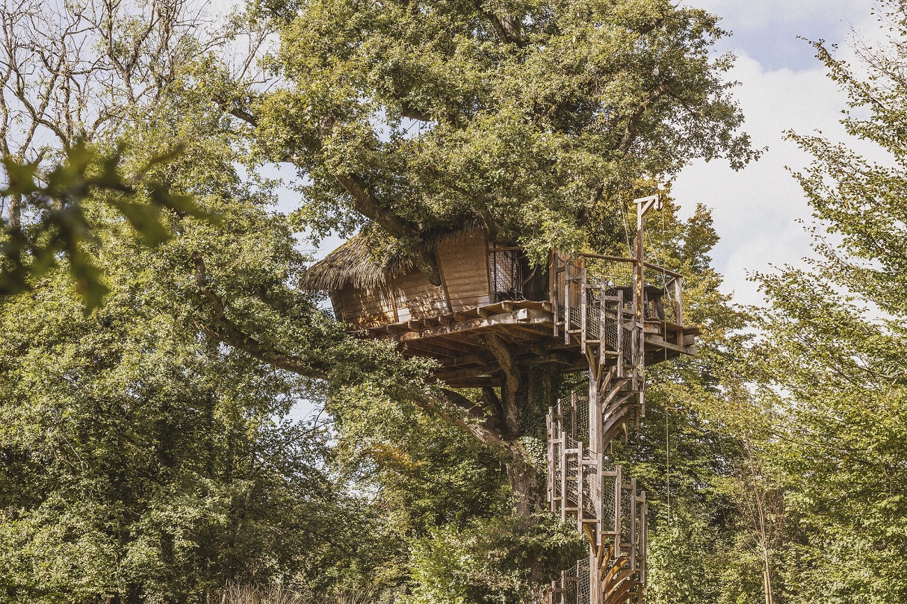 Cabane Amazone : une immersion dans les arbres de Franche-Comté