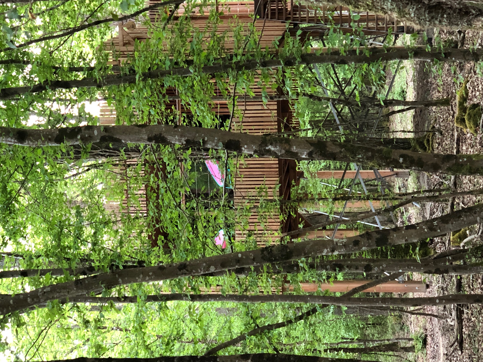Évasion en Suite « Kabine » avec Spa Privatif à Esvres-Sur-Indre — espace de vie