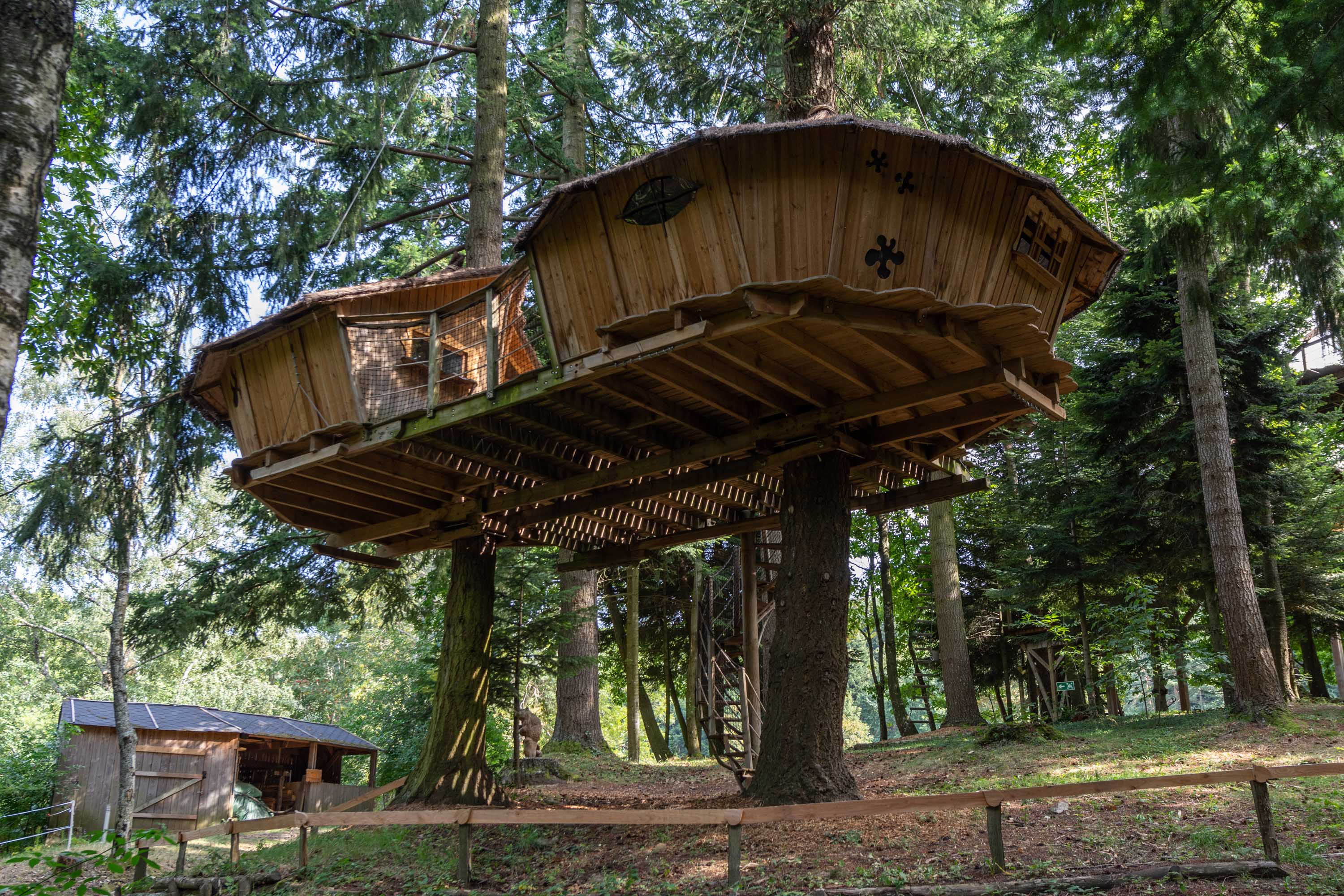 Cabane Castor : une expérience unique dans les arbres à Saint-Julien-Labrousse — espace de vie