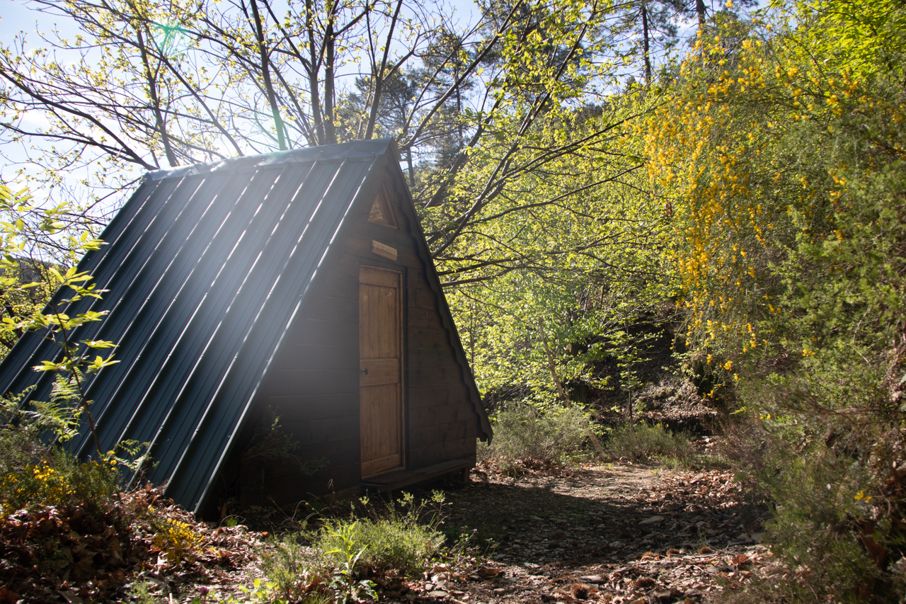 La Cabane Forestière : une immersion au cœur de la nature à Mialet — cuisine