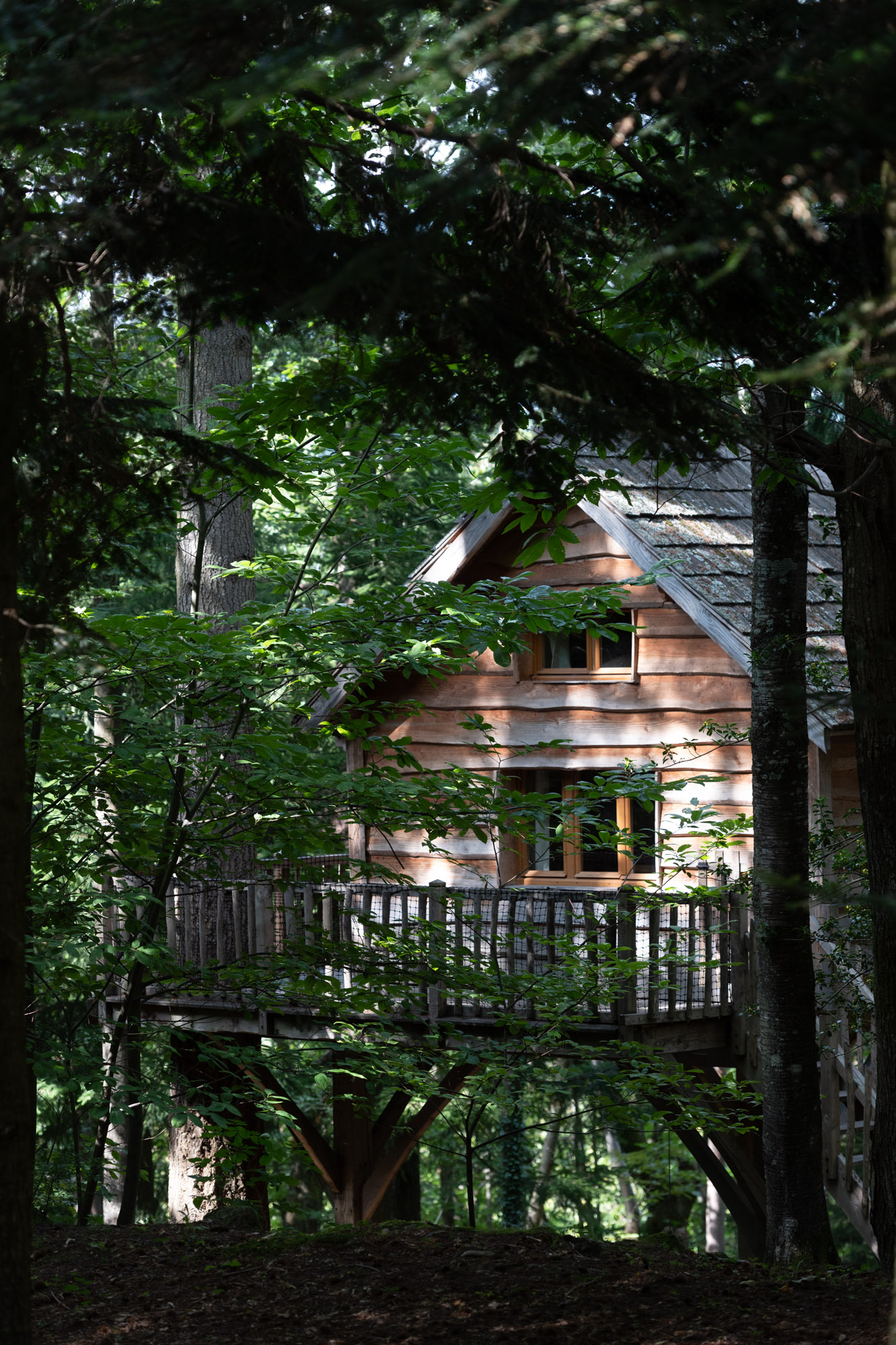 Cabane Ours : une expérience suspendue dans les arbres à Saint-Julien-Labrousse — espace de vie