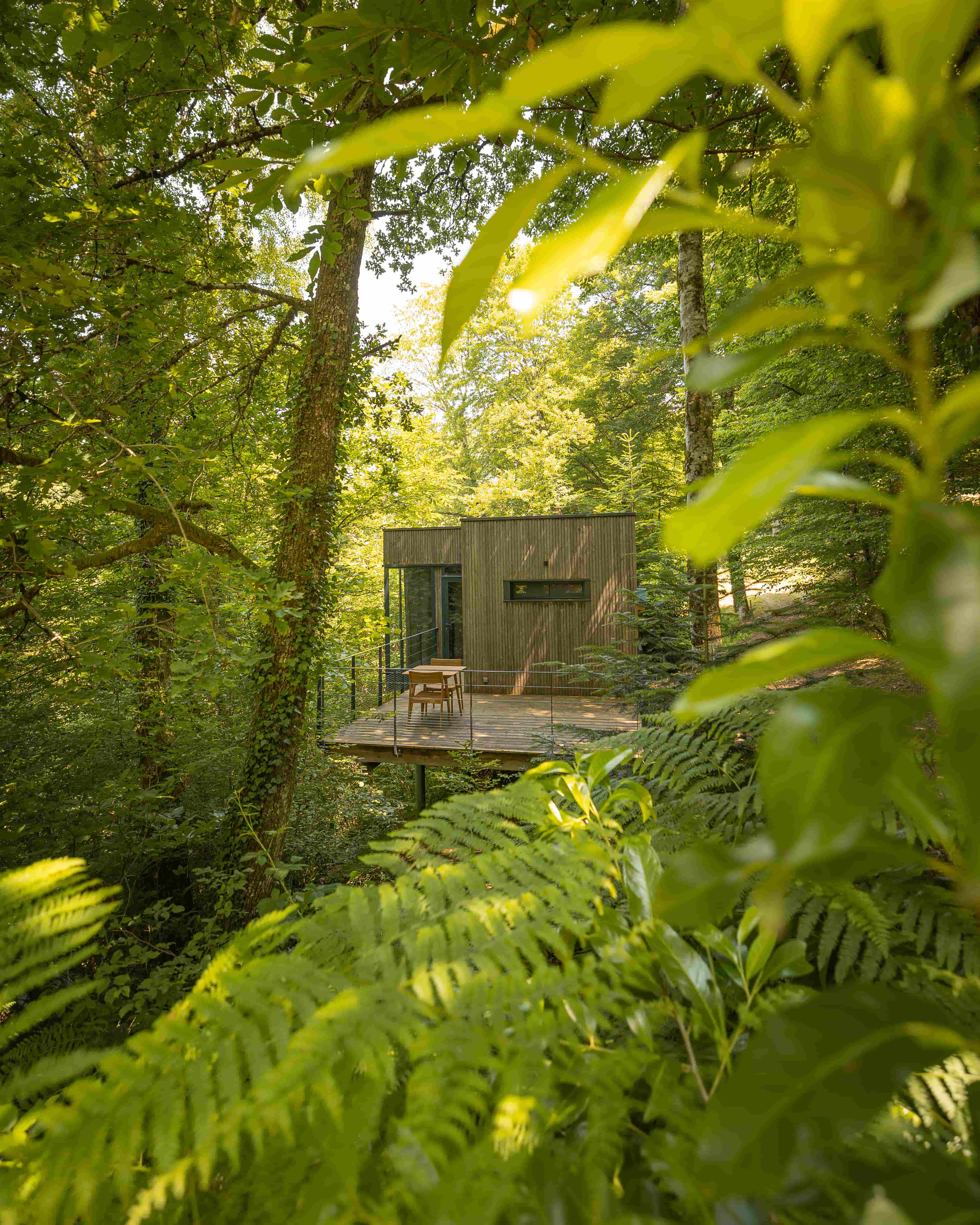 Cabane Châtaigner : une immersion dans les arbres du Limousin — Cabane à Meyrignac L’Eglise