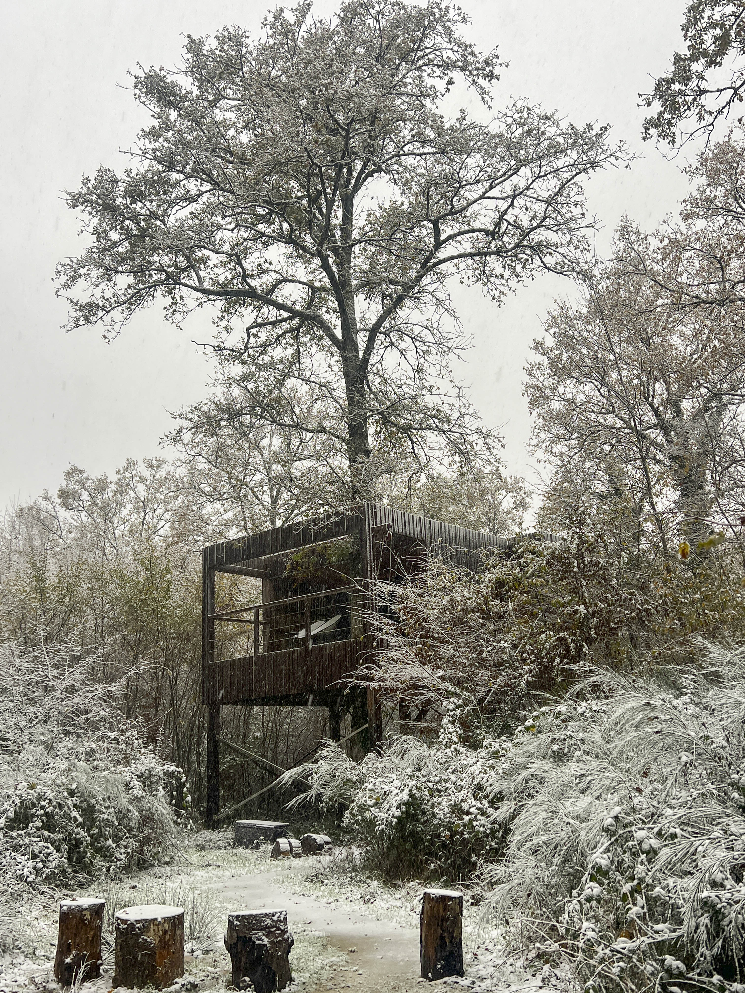 Lodge Uzume & Spa : une suite perchée dans les arbres à Esvres-Sur-Indre — chambre