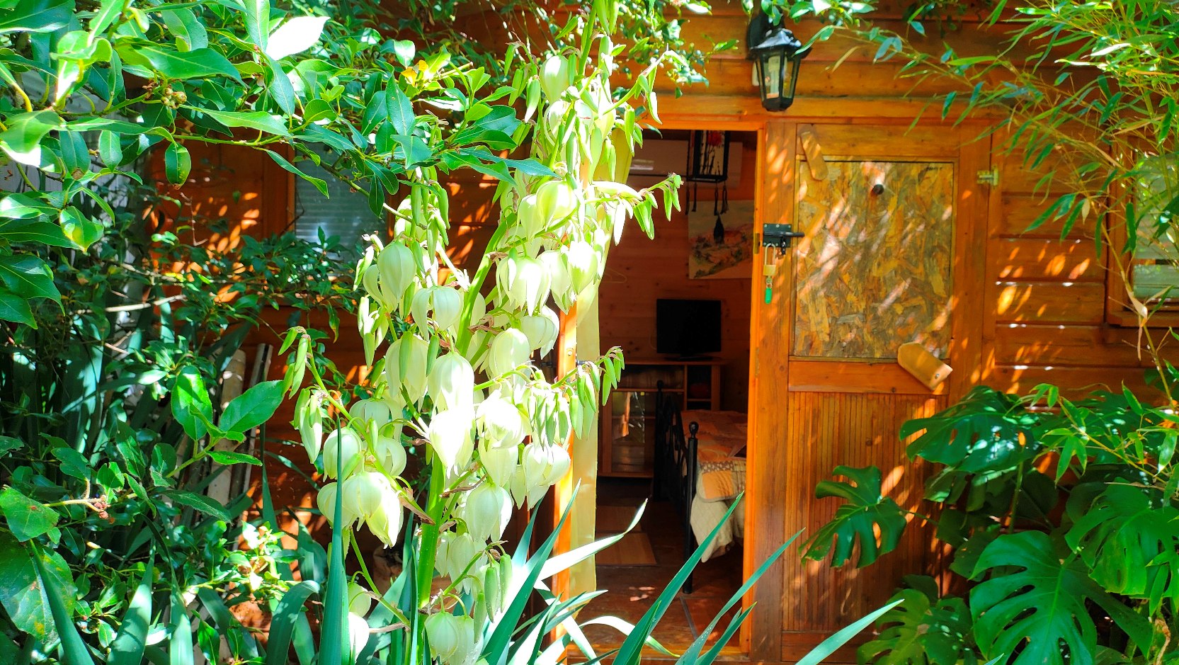 Tiny Garden — Cabane avec spa et jardin à Le Portel des Arnaud