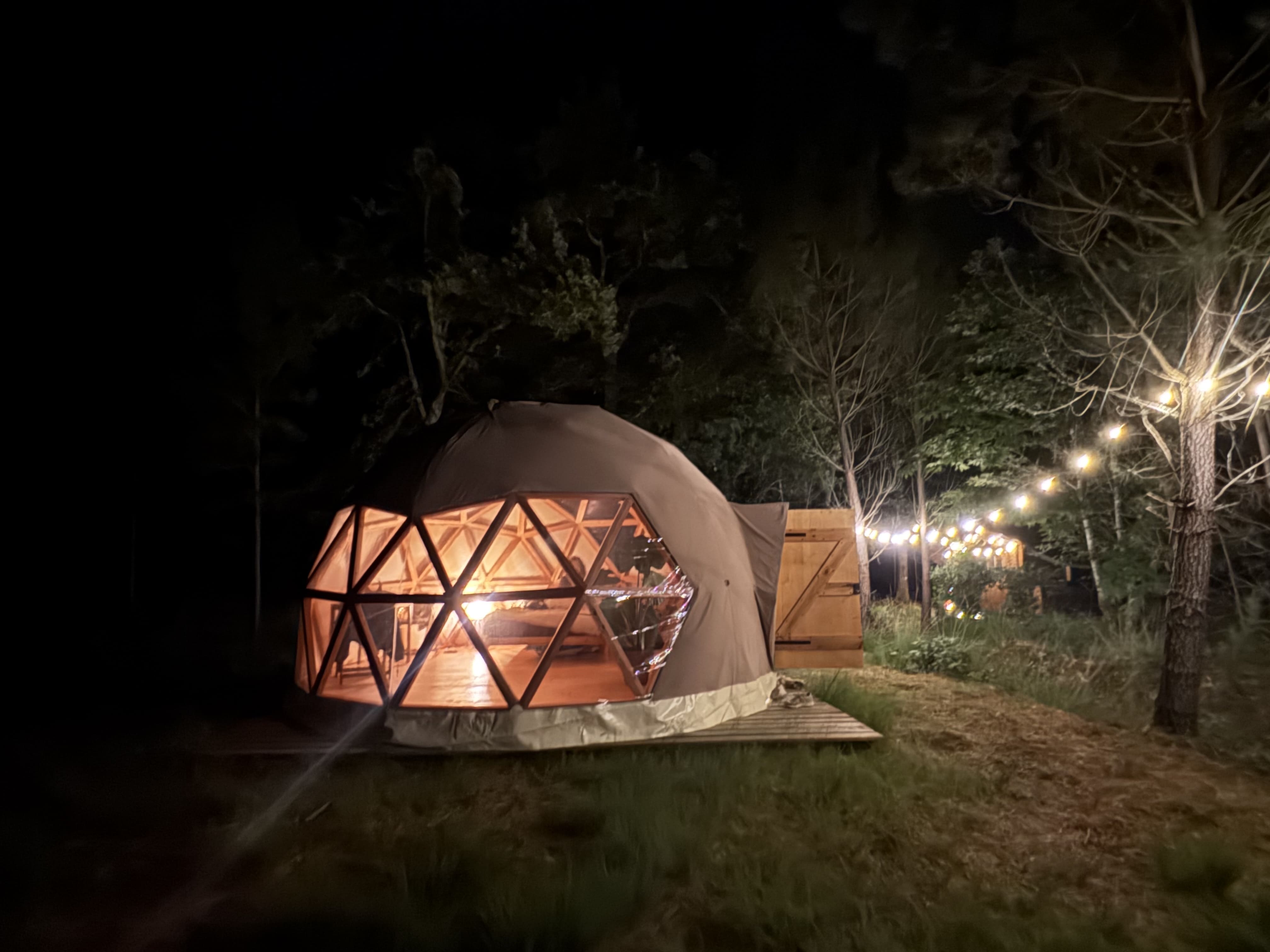 Dôme d'Amagui — Dôme géodésique au cœur de la forêt Landaise à Mérignac — détail architectural