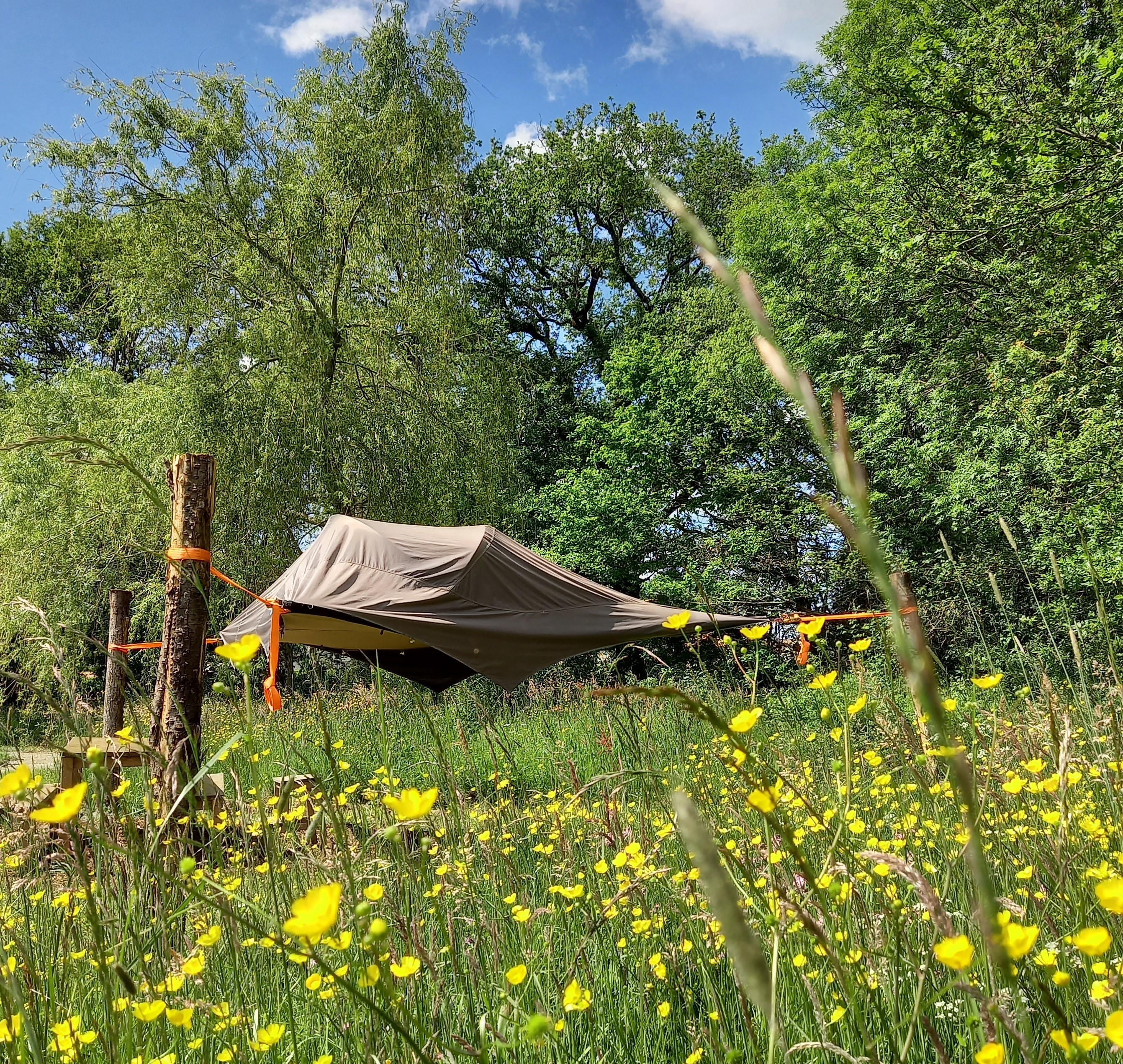 Vivez l'expérience unique d'une tente suspendue en Pays de la Loire