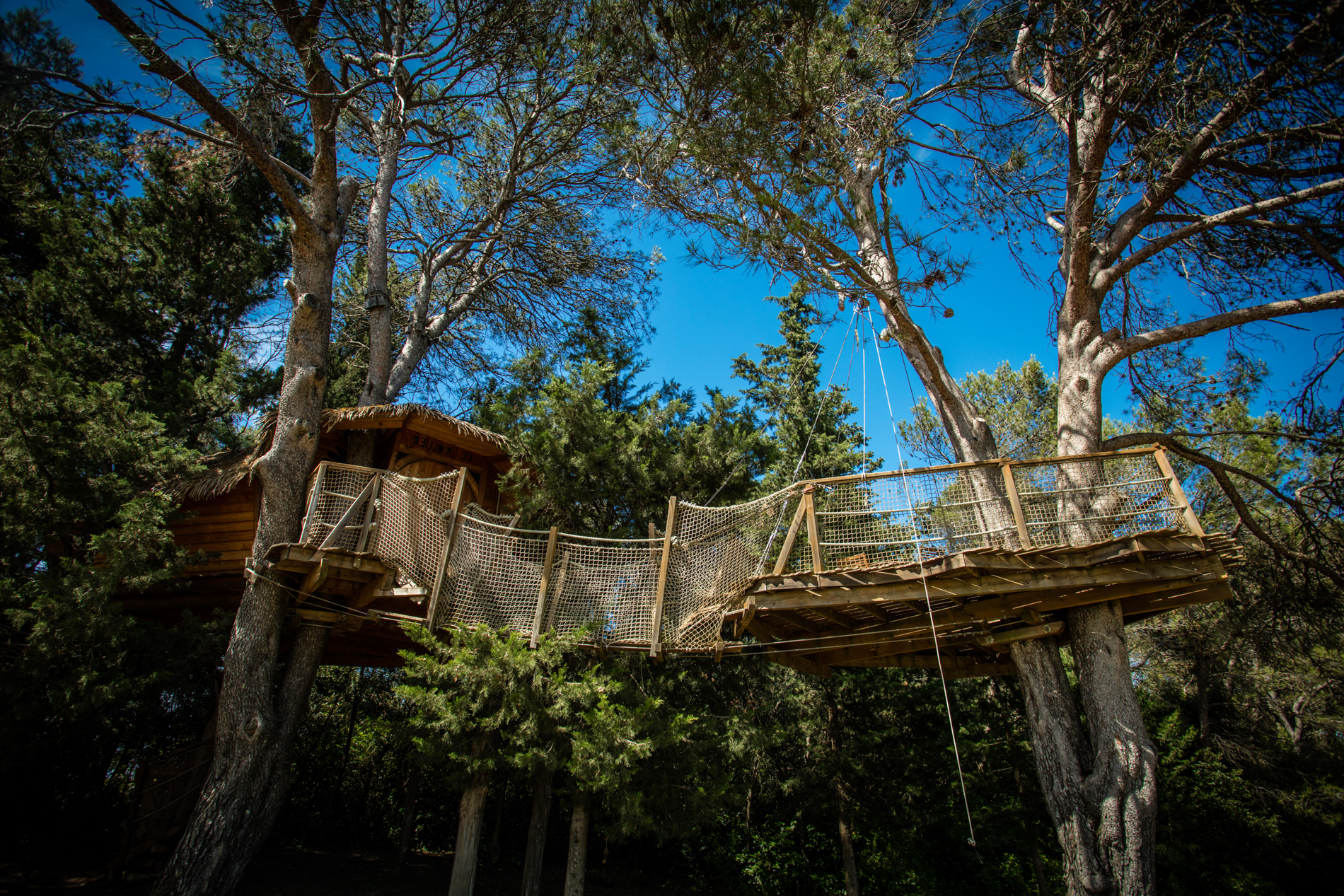 Rollier : une cabane dans les arbres au cœur de l'Occitanie à Castries — espace de vie