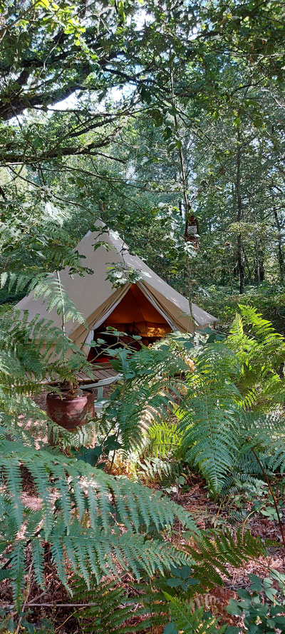 Tente Zen : une expérience immersive en pleine nature à Saint Pierre Des Echaubrognes — vue intérieure