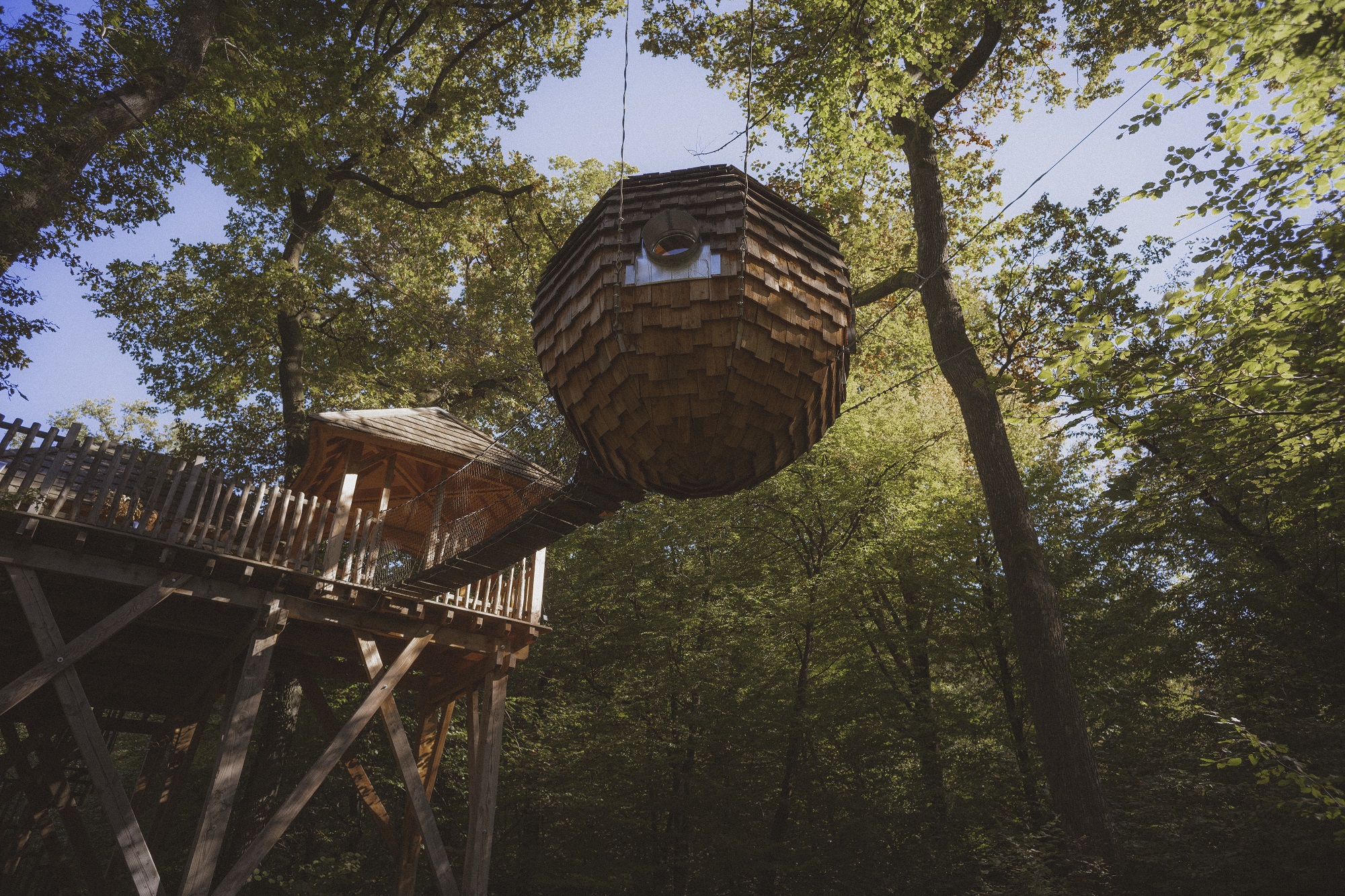 Cabane Lov'Nid Passion : une immersion en Franche-Comté à Joncherey — vue intérieure