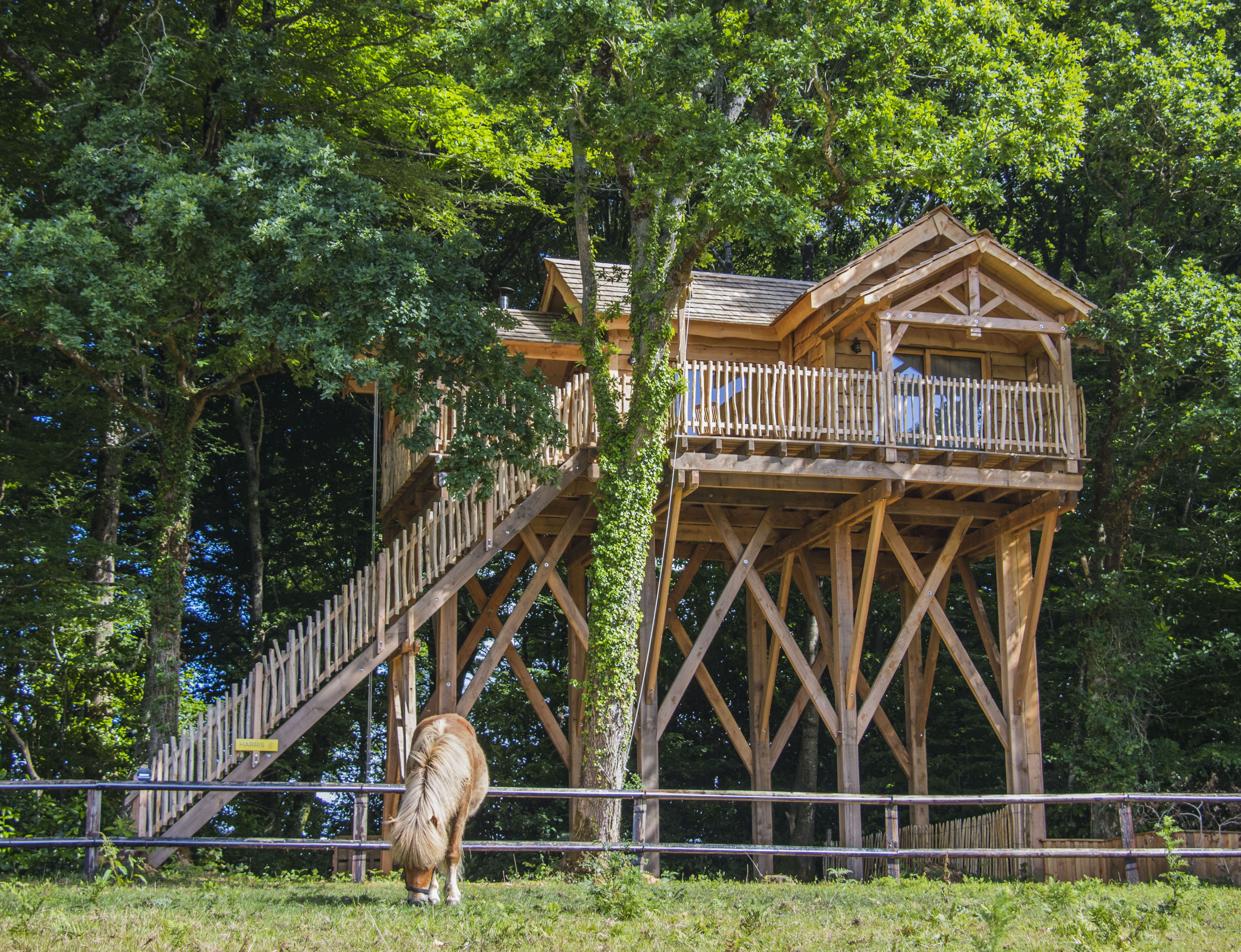Cabane Spa Harris : une évasion sur pilotis en Bretagne
