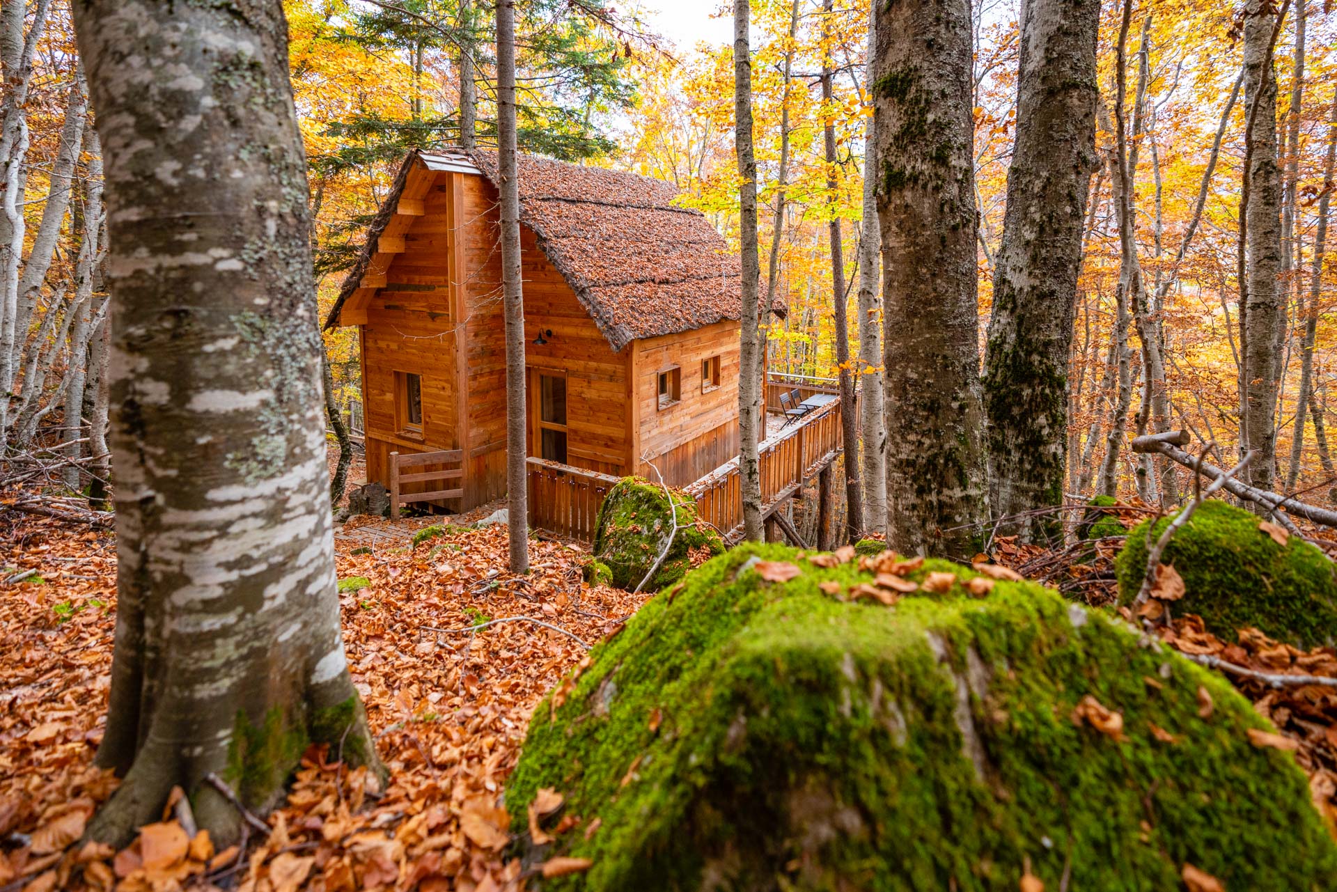 Cabane des Sylphes & Spa — Cabane sur pilotis avec spa à Saint-Léger (Hautes-Alpes)
