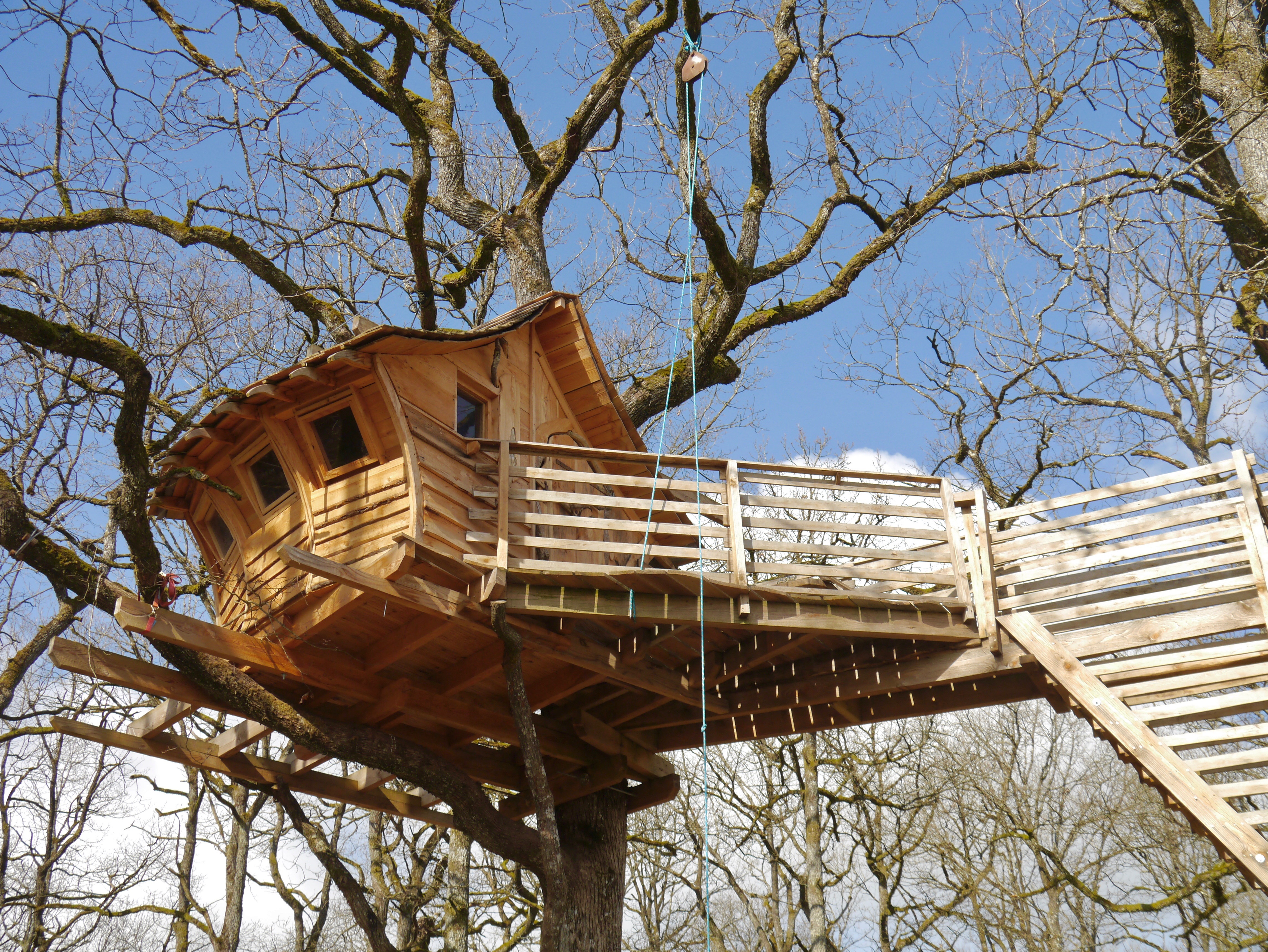 Uthando : une cabane dans les arbres au cœur de la Lorraine — Cabane à Vittel