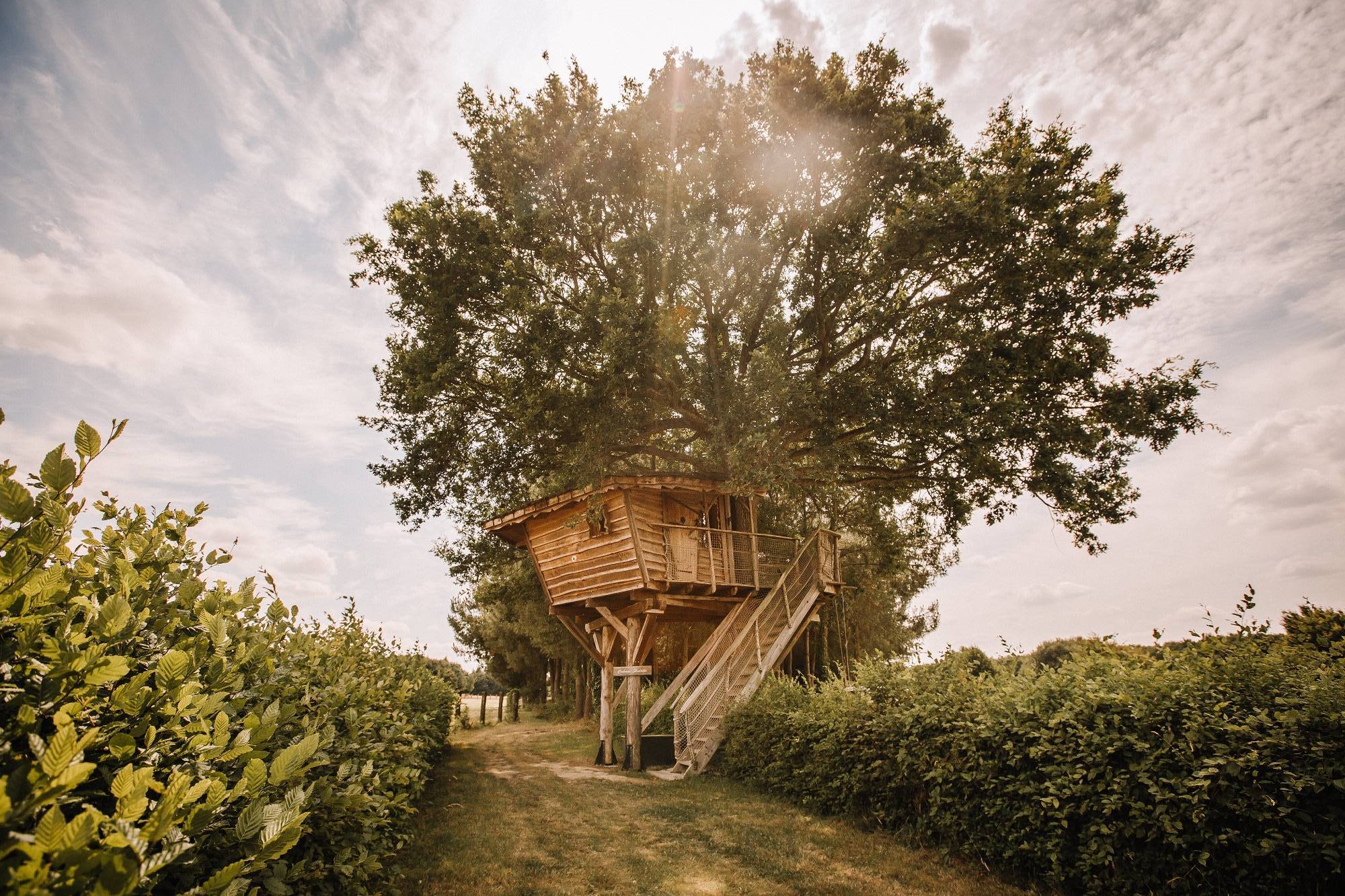 Cabane Hulotte : une escapade enchantée dans les arbres — Cabane à Pommerieux