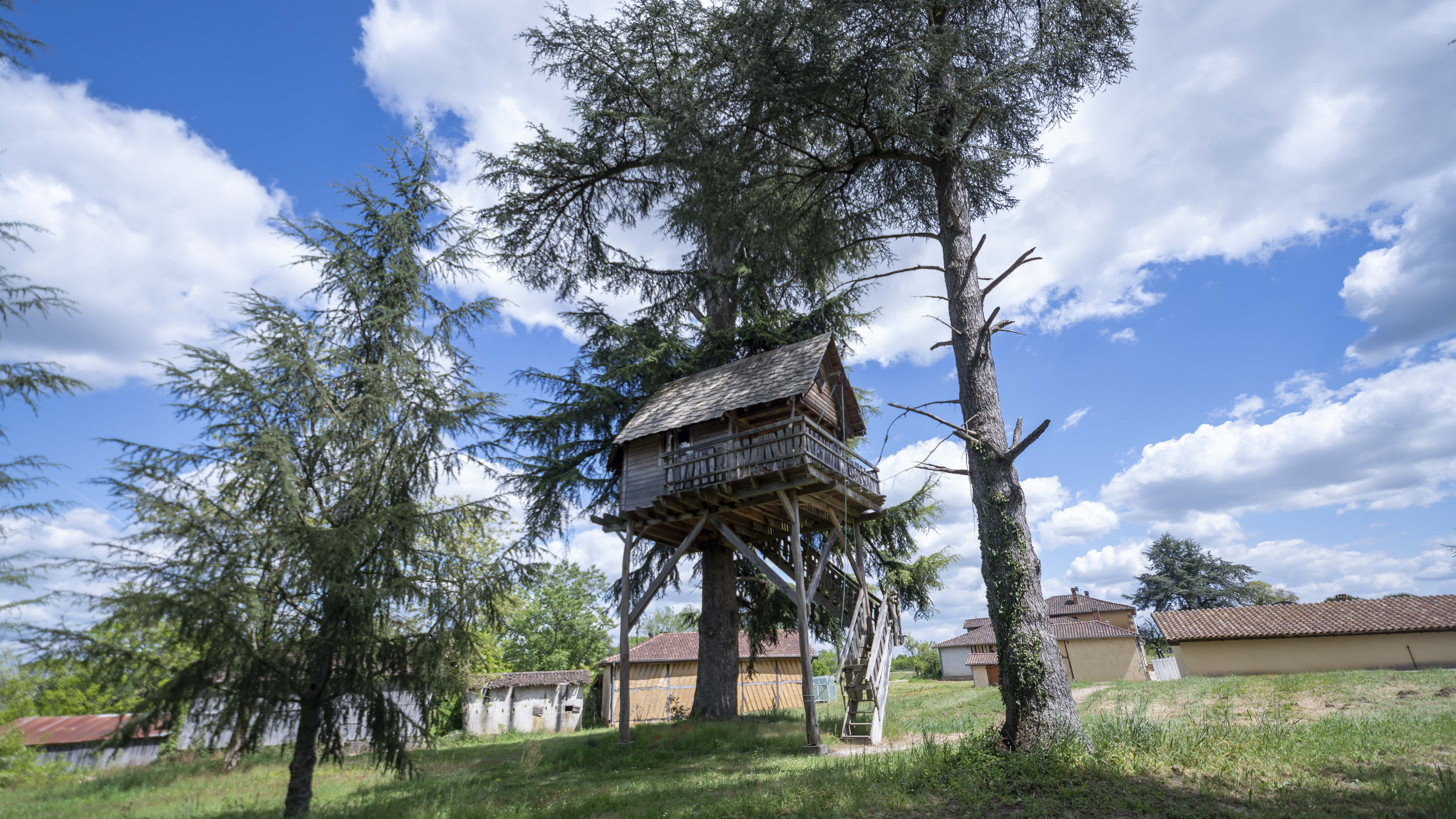 Cabane au Cèdre du Bonheur — Cabane dans les arbres avec vue panoramique à Gers à Riguepeu — espace de vie