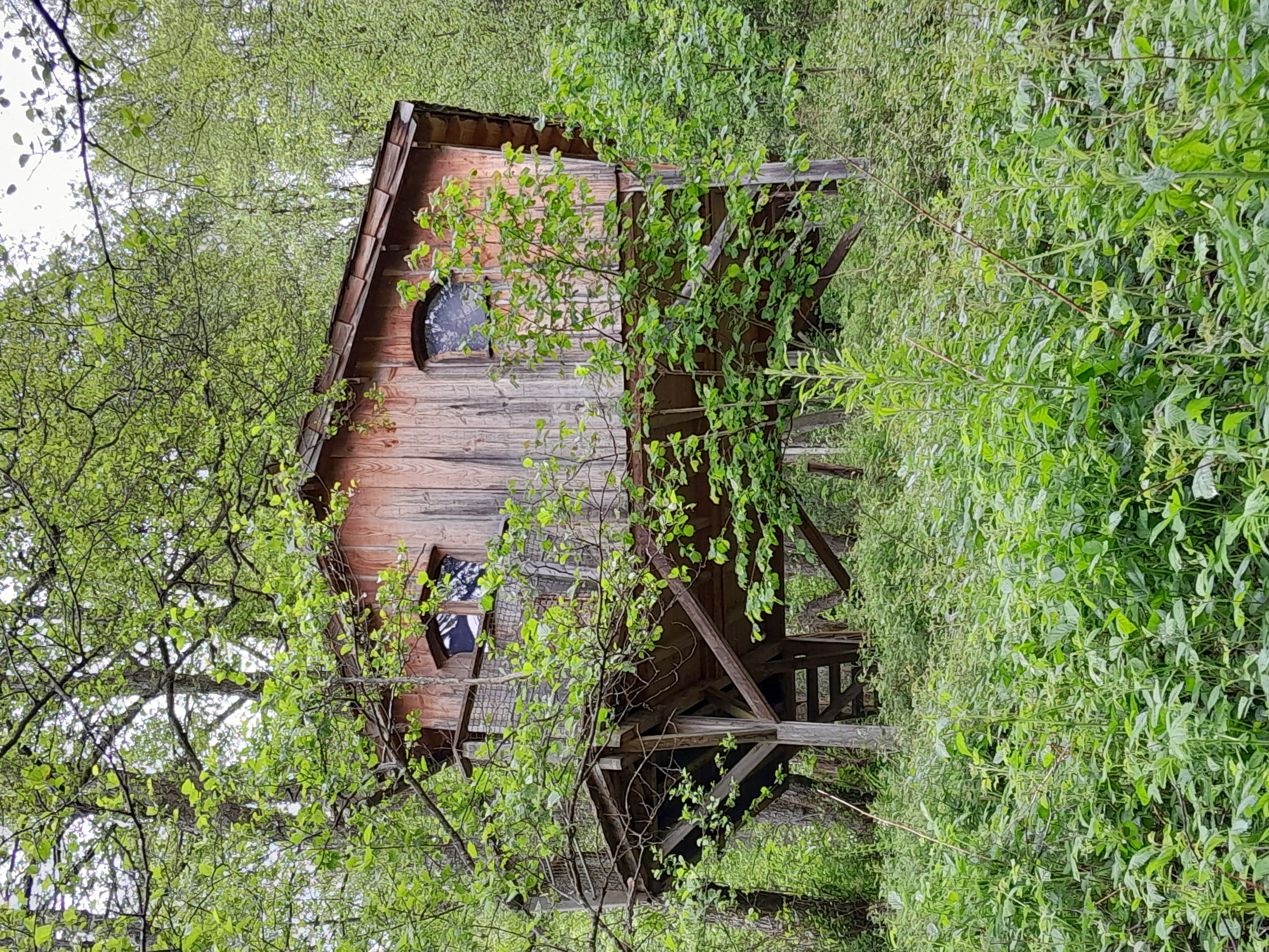 Cabane sur pilotis : le refuge du Trappeur en Alsace — Cabane à Grandfontaine