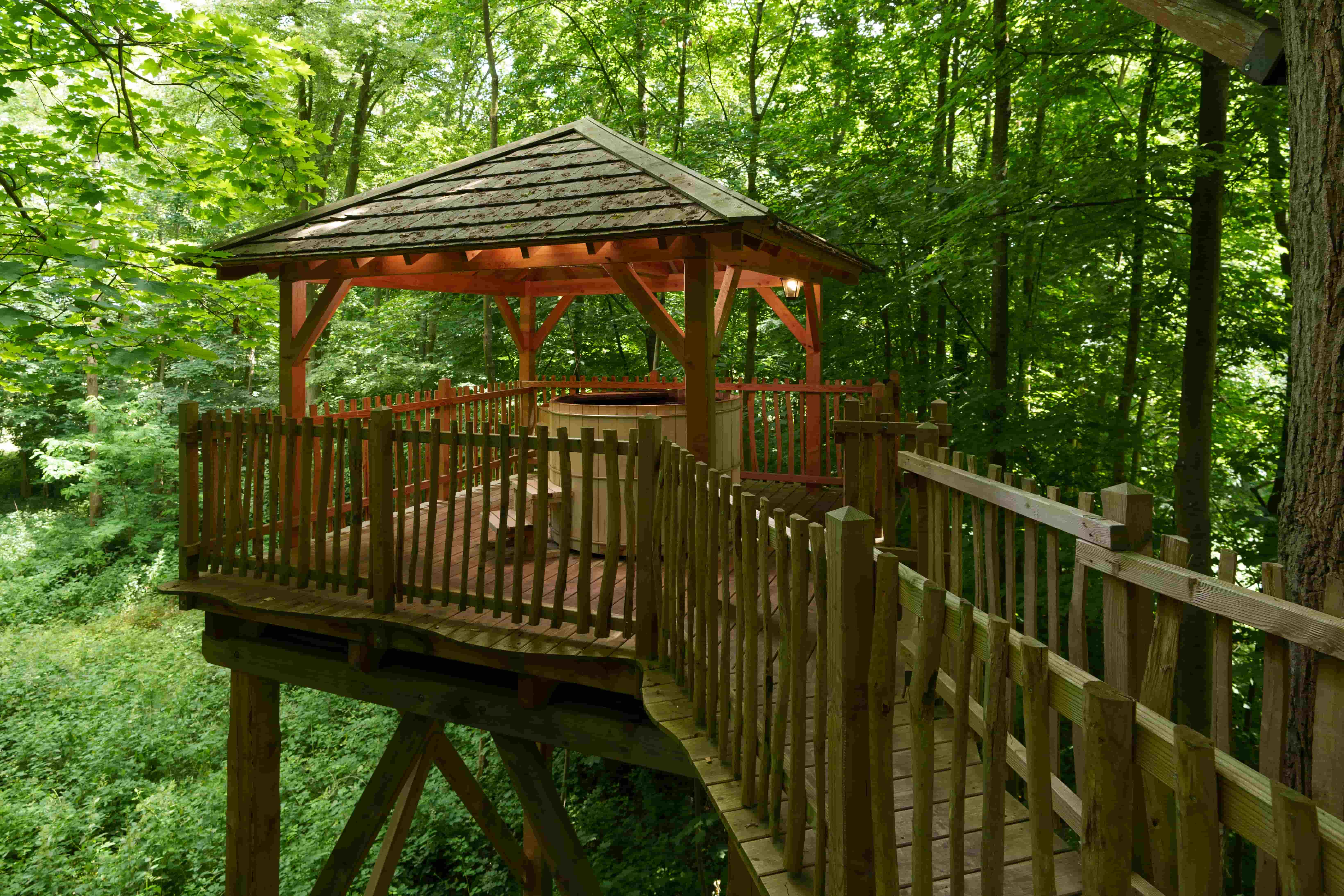Cabane Spa Carpe Diem : une expérience unique dans les arbres à Raray — vue intérieure