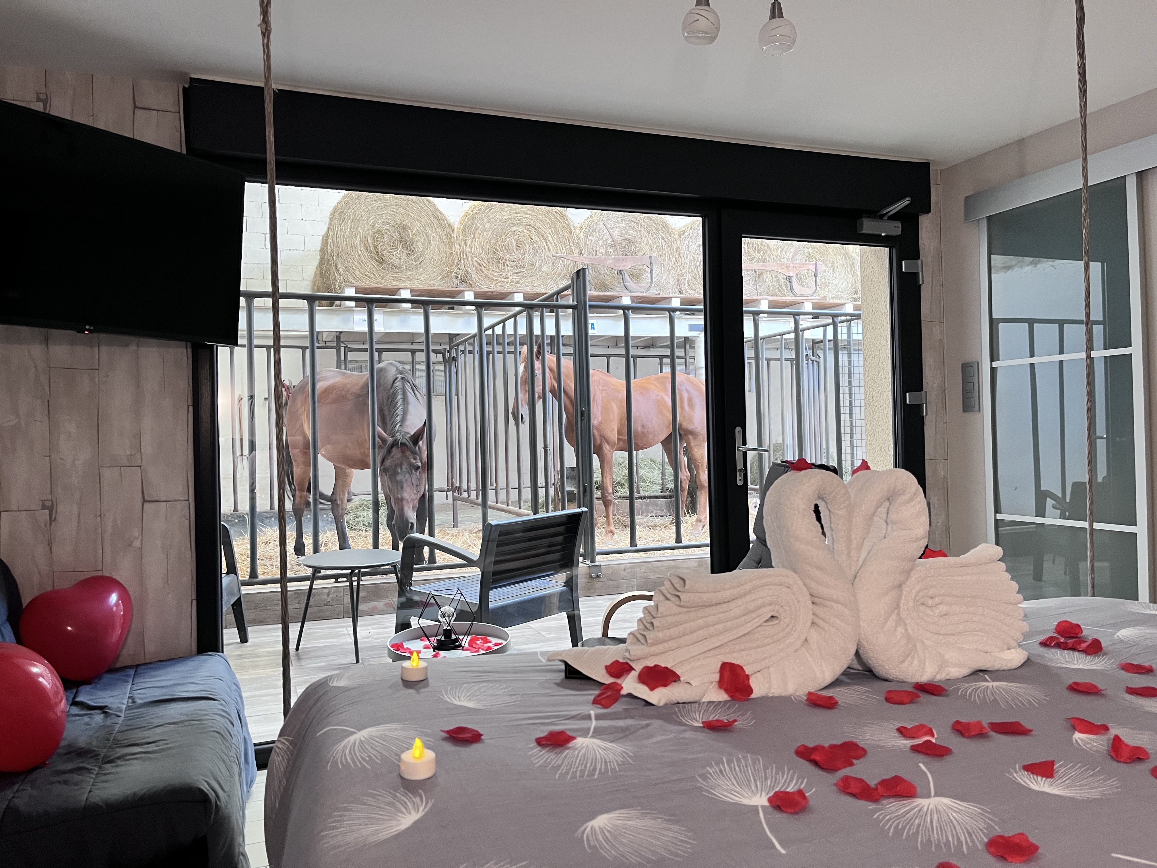 Suite 3 — Hébergement avec jacuzzi et vue sur chevaux à Vosges à Épinal — cuisine